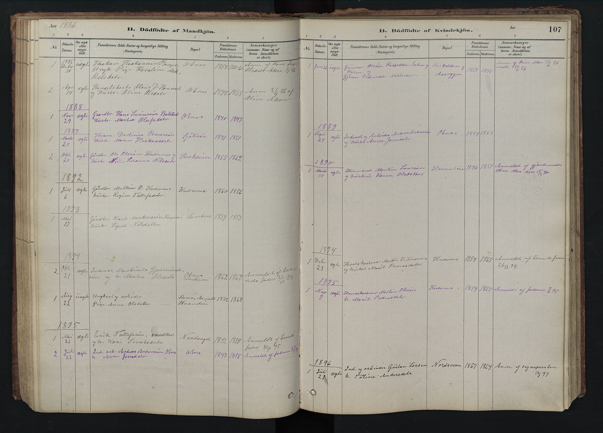 Rendalen prestekontor, SAH/PREST-054/H/Ha/Hab/L0009: Parish register (copy) no. 9, 1879-1902, p. 107