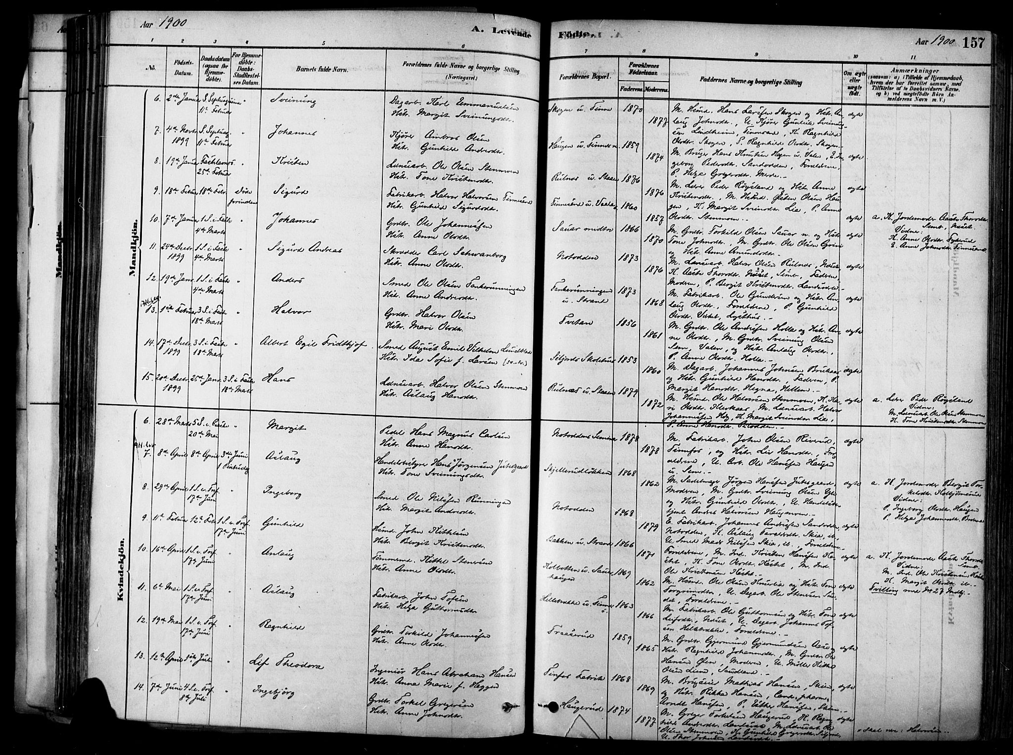 Heddal kirkebøker, AV/SAKO-A-268/F/Fa/L0008: Parish register (official) no. I 8, 1878-1903, p. 157