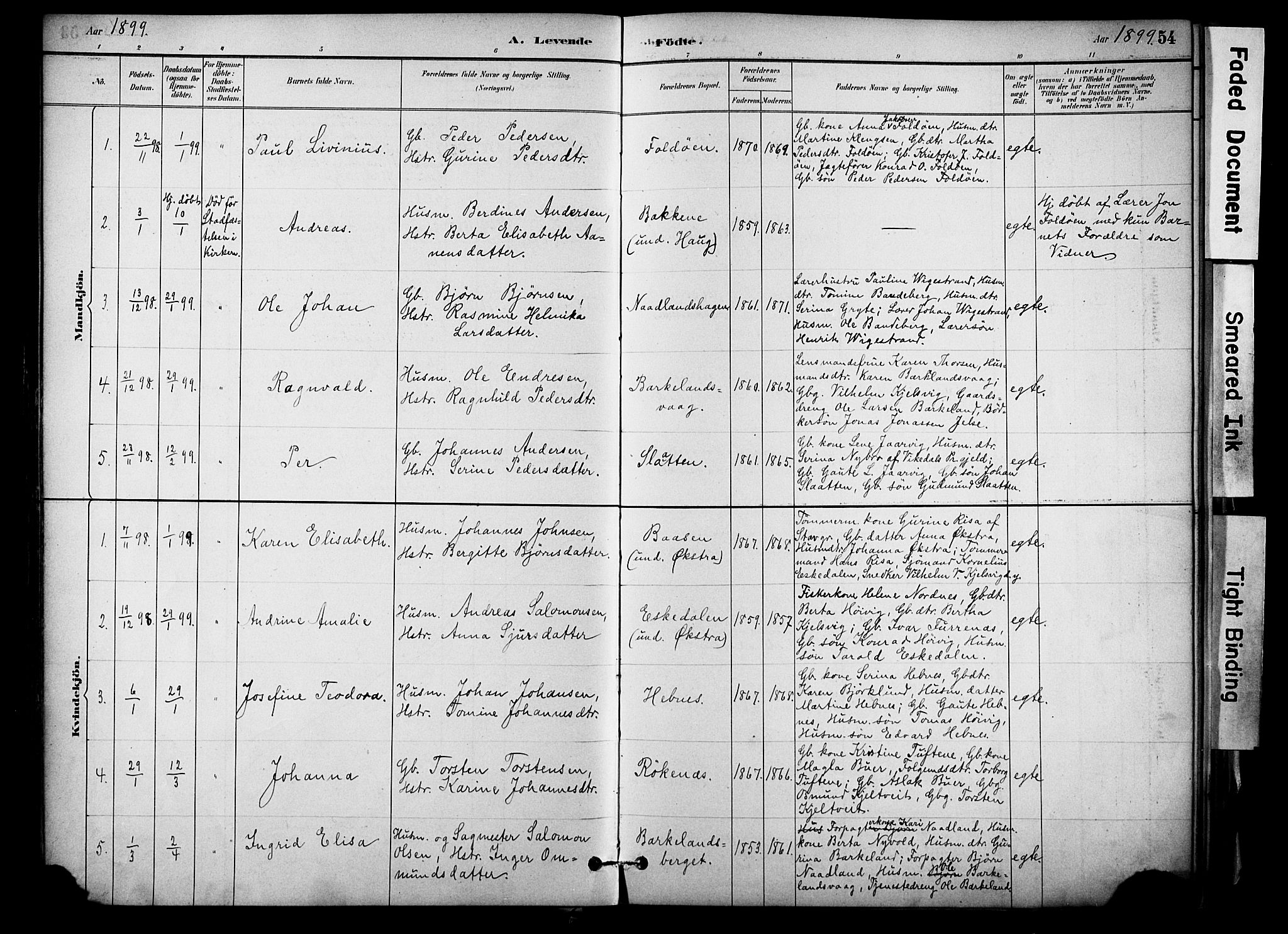 Jelsa sokneprestkontor, SAST/A-101842/01/IV: Parish register (official) no. A 10, 1884-1906, p. 54