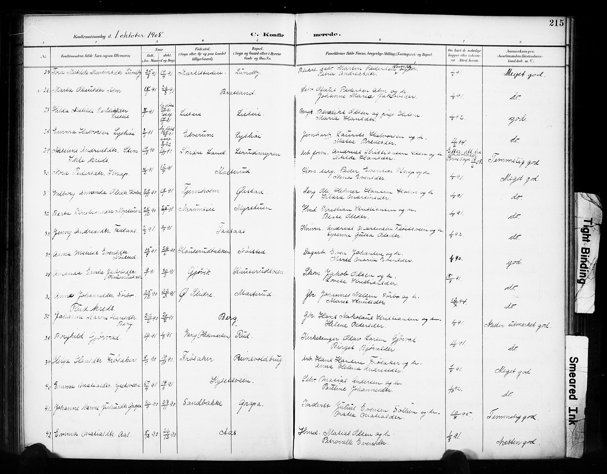 Vestre Toten prestekontor, SAH/PREST-108/H/Ha/Haa/L0011: Parish register (official) no. 11, 1895-1906, p. 215