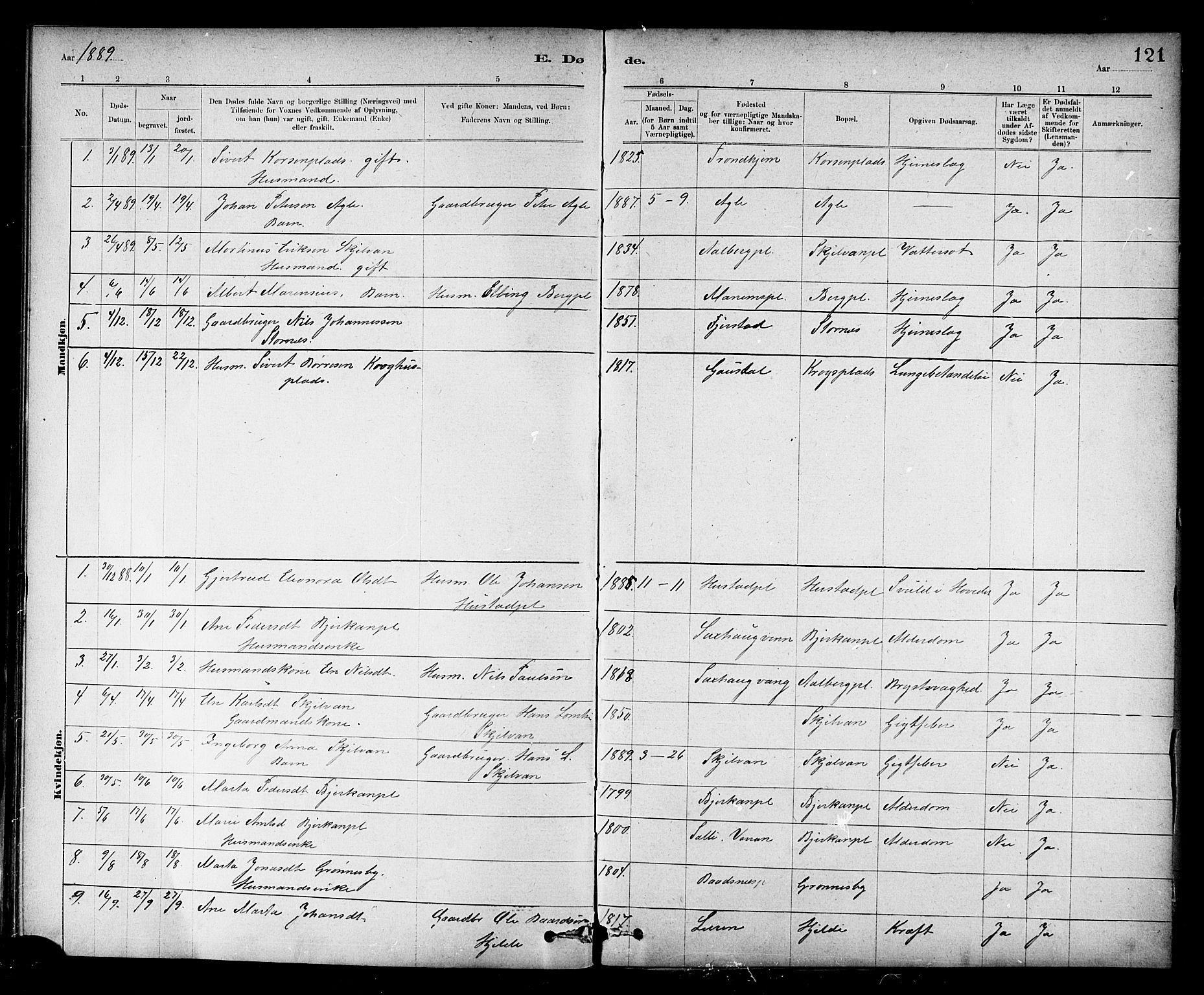 Ministerialprotokoller, klokkerbøker og fødselsregistre - Nord-Trøndelag, AV/SAT-A-1458/732/L0318: Parish register (copy) no. 732C02, 1881-1911, p. 121