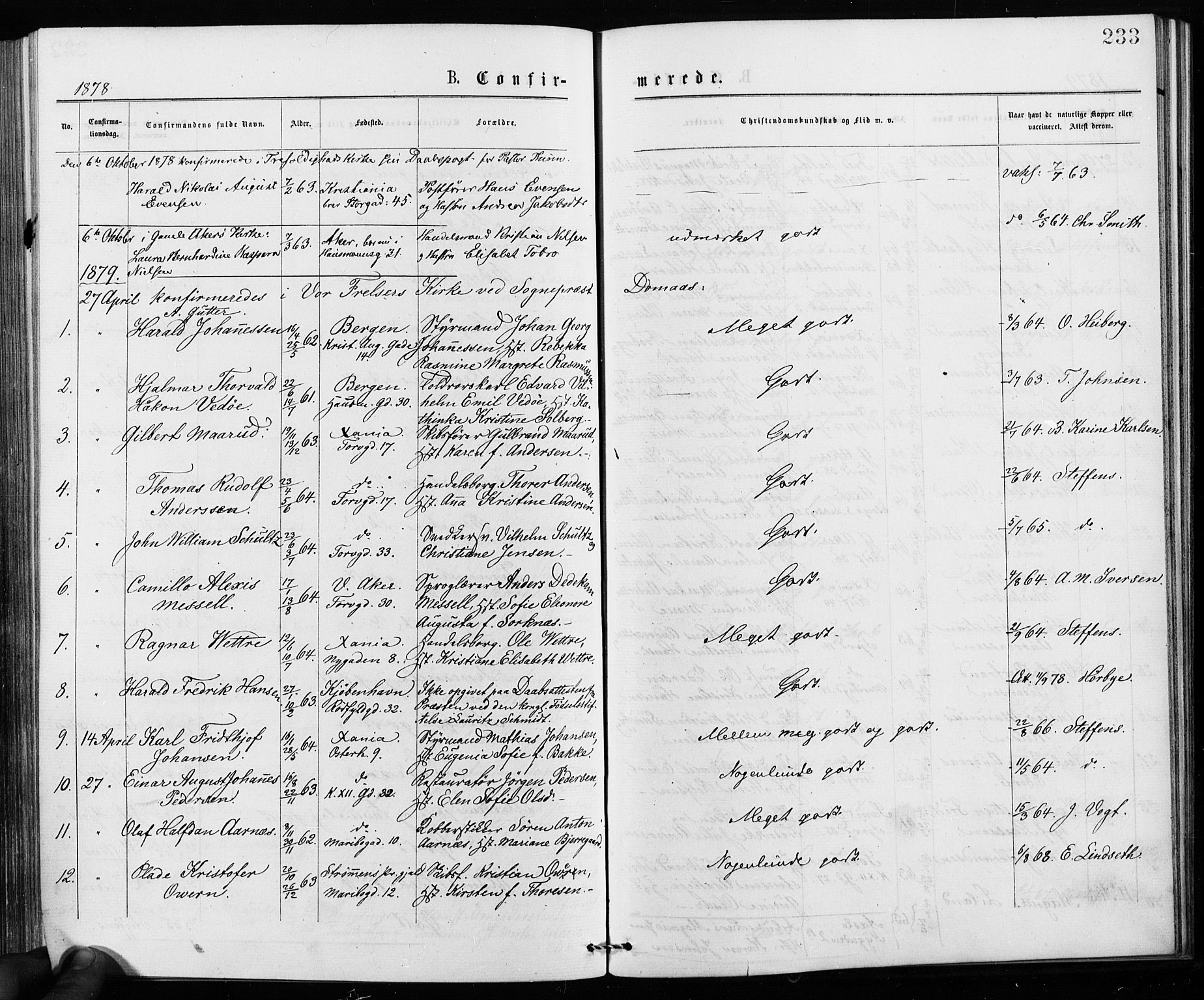 Jakob prestekontor Kirkebøker, SAO/A-10850/F/Fa/L0001: Parish register (official) no. 1, 1875-1924, p. 233