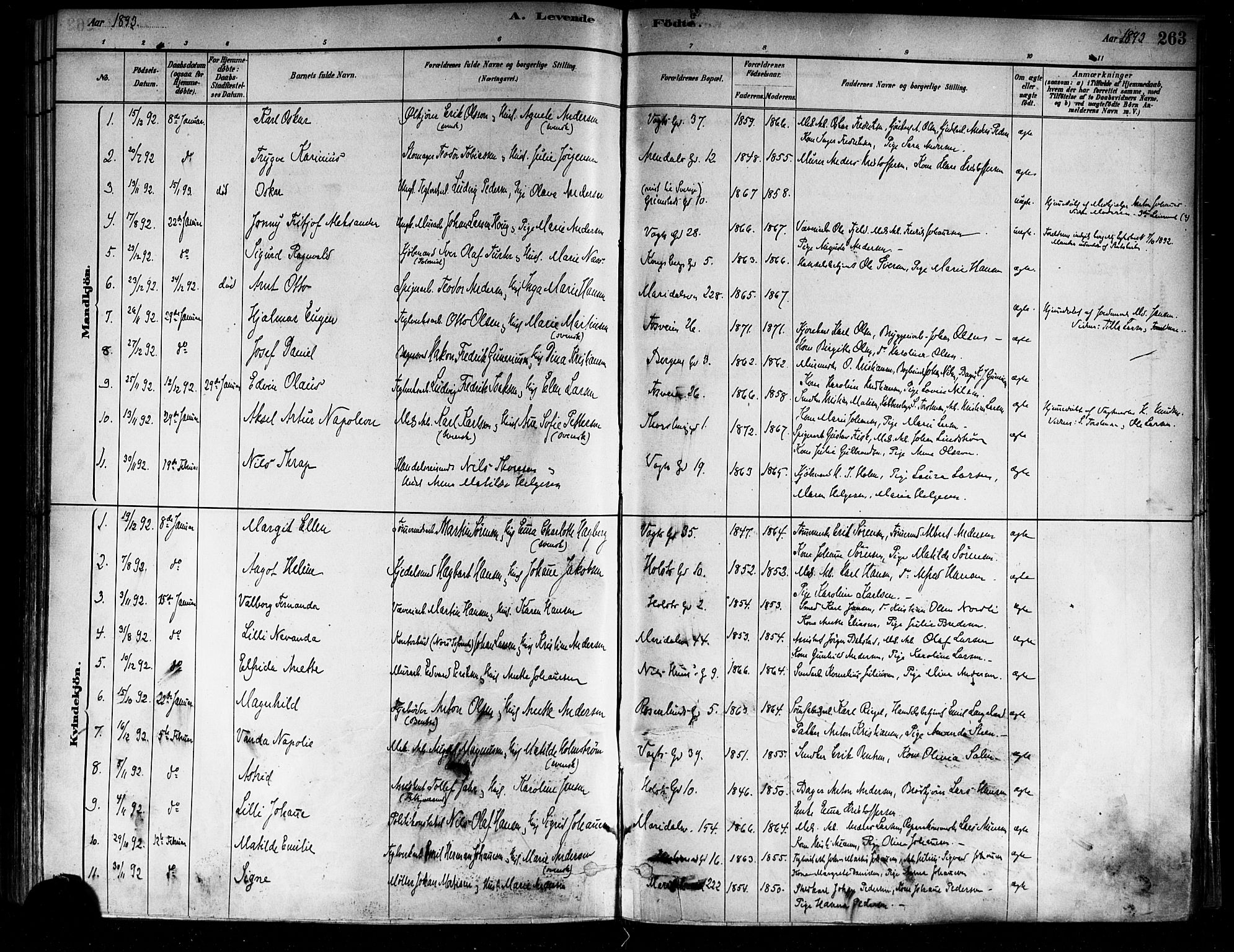 Sagene prestekontor Kirkebøker, SAO/A-10796/F/L0001: Parish register (official) no. 1, 1880-1893, p. 263
