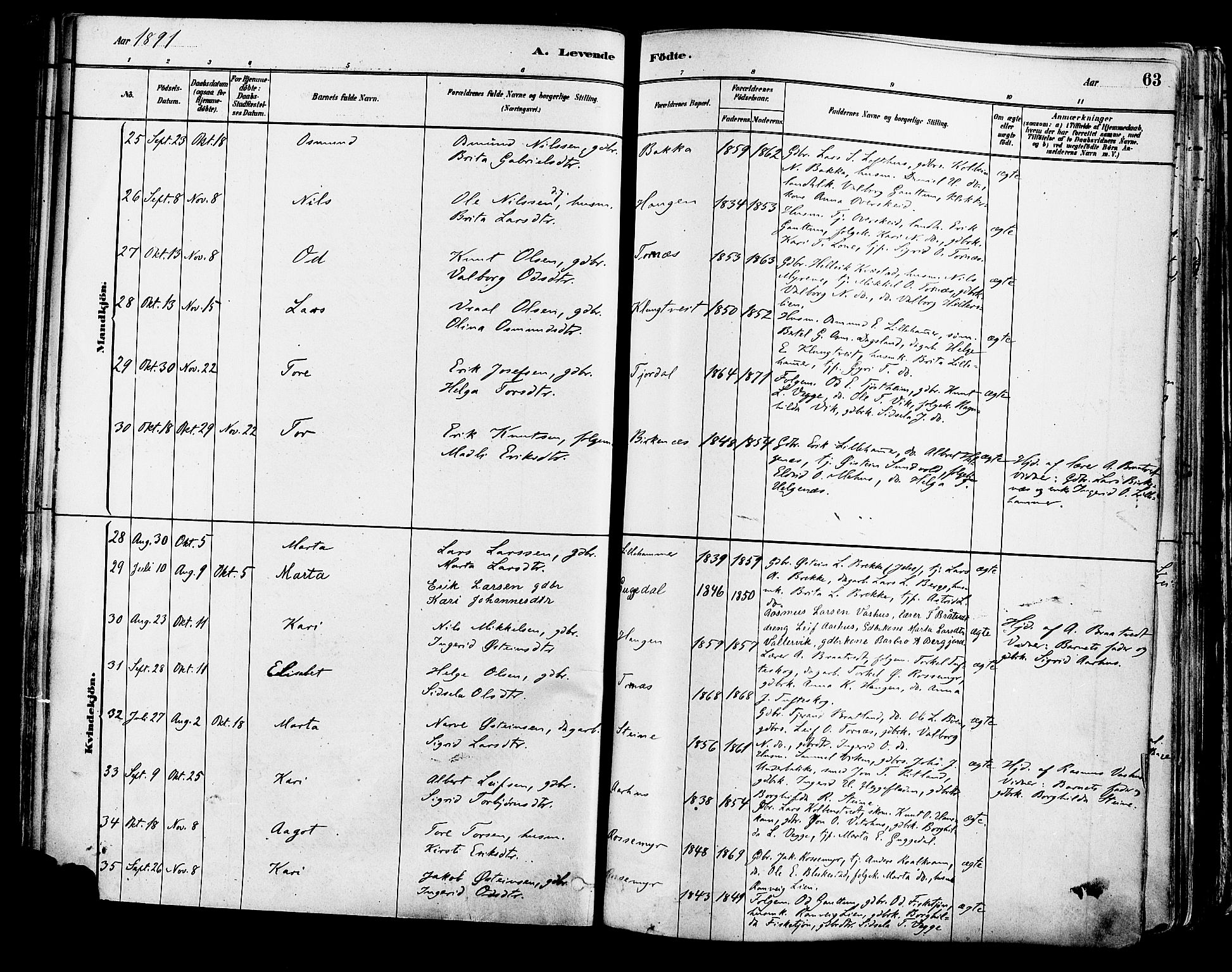 Suldal sokneprestkontor, AV/SAST-A-101845/01/IV/L0011: Parish register (official) no. A 11, 1878-1900, p. 63