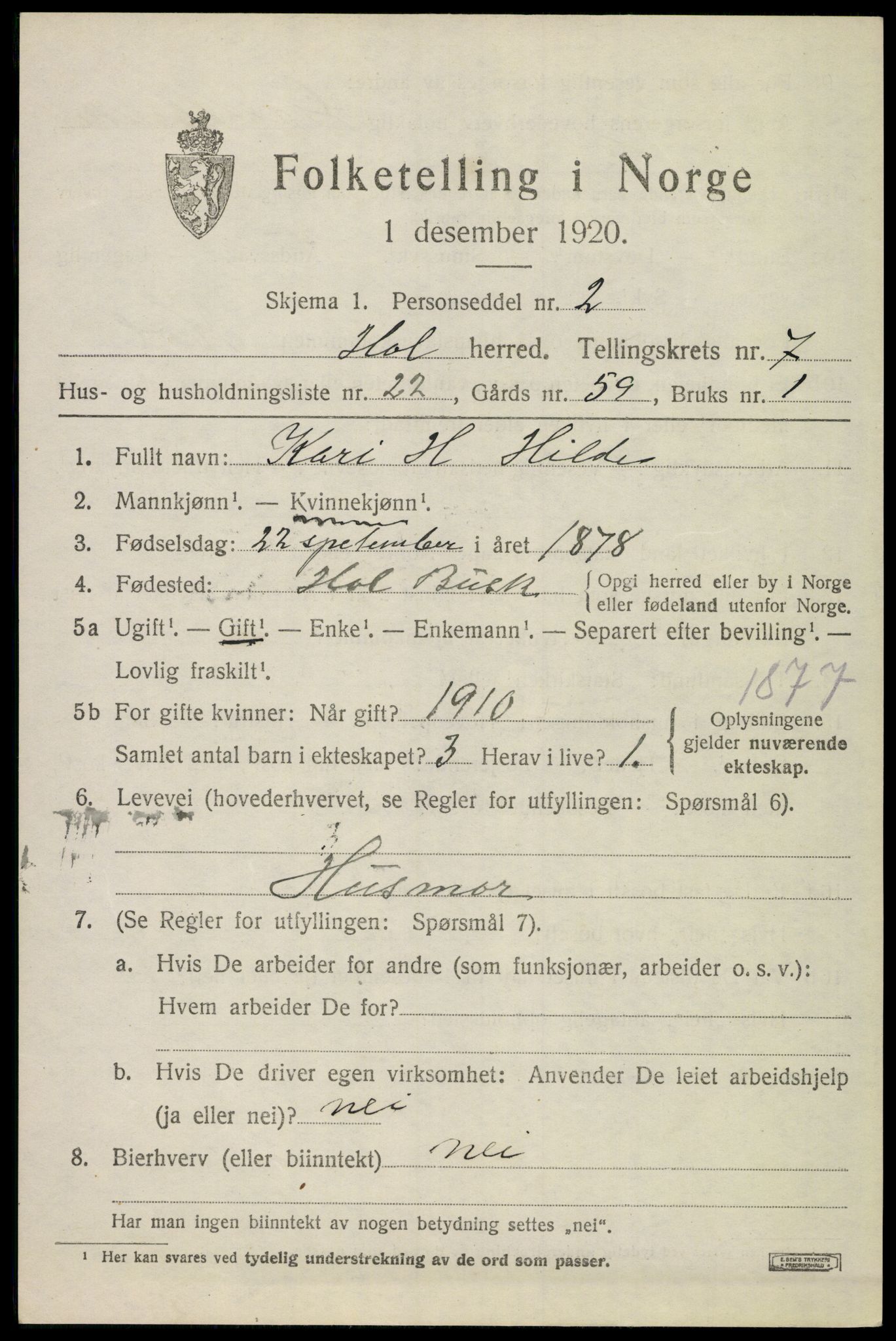 SAKO, 1920 census for Hol (Buskerud), 1920, p. 3779