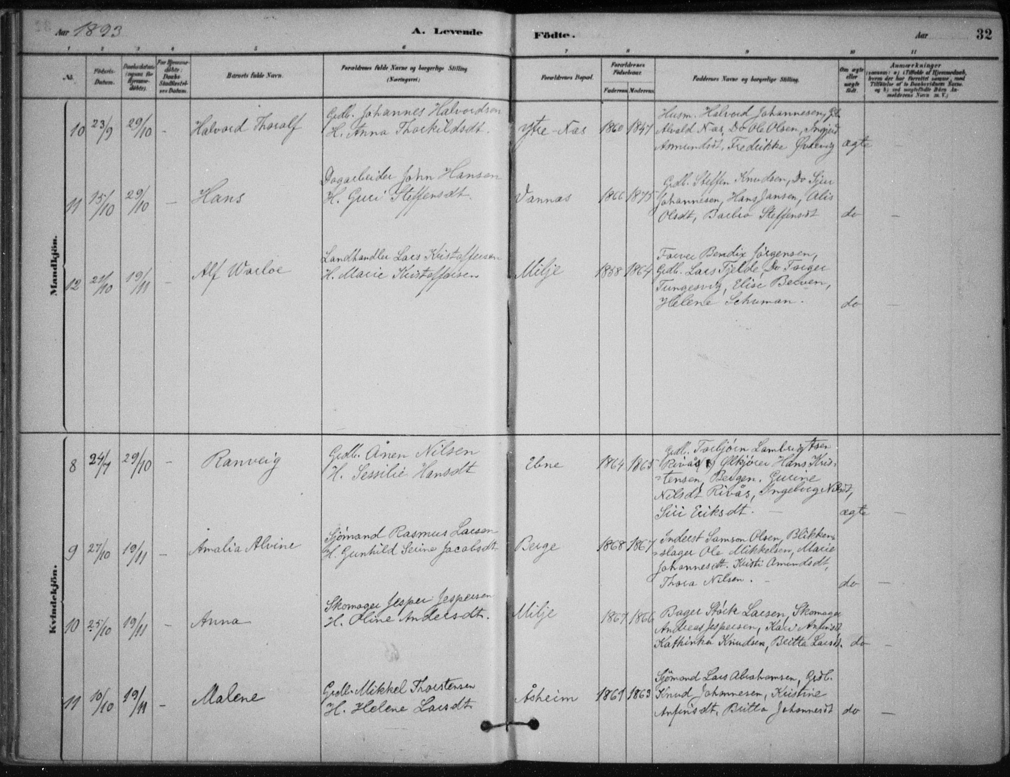 Skånevik sokneprestembete, SAB/A-77801/H/Haa: Parish register (official) no. B 1, 1879-1914, p. 32