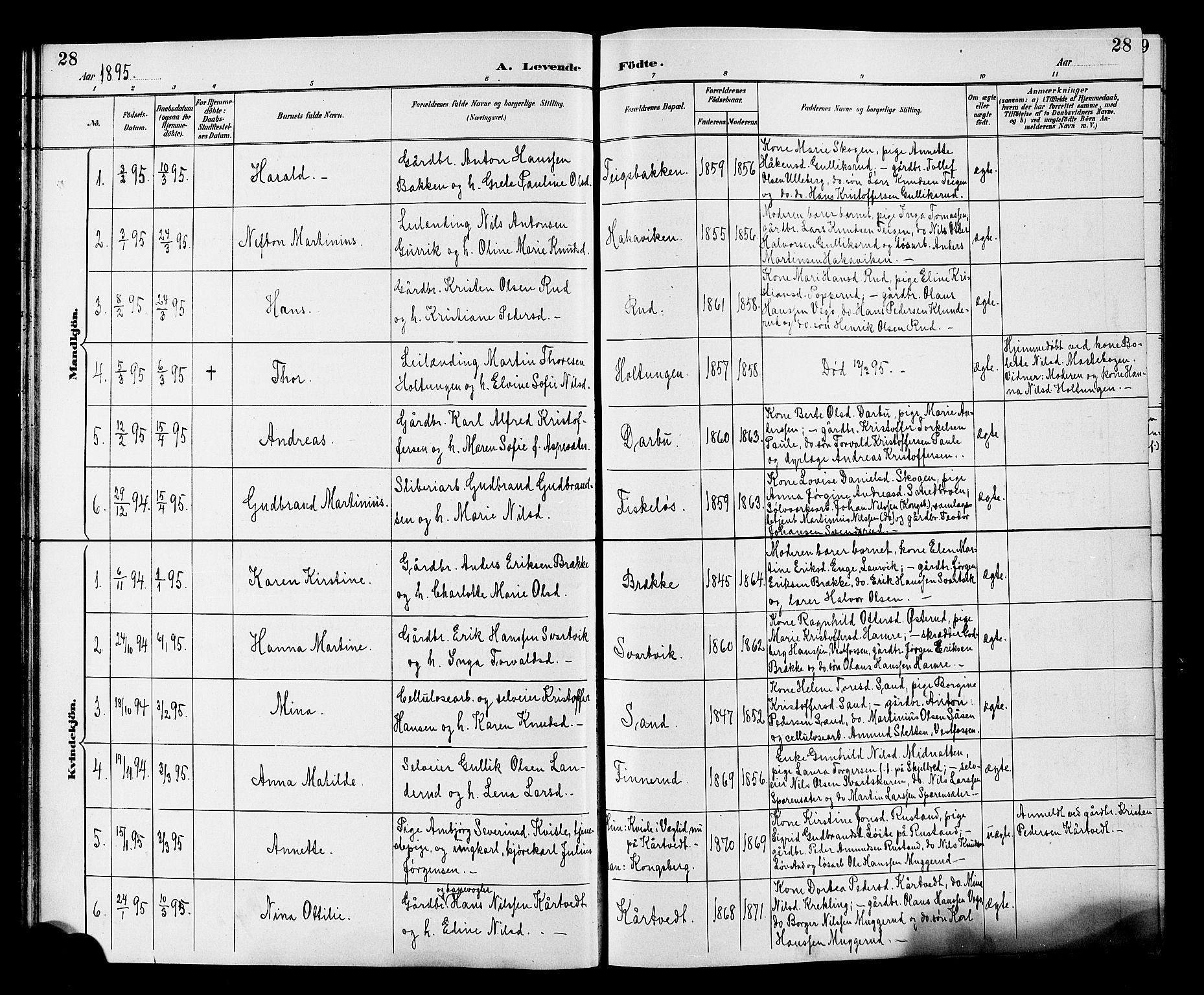 Fiskum kirkebøker, AV/SAKO-A-15/G/Ga/L0005: Parish register (copy) no. 5, 1887-1912, p. 28