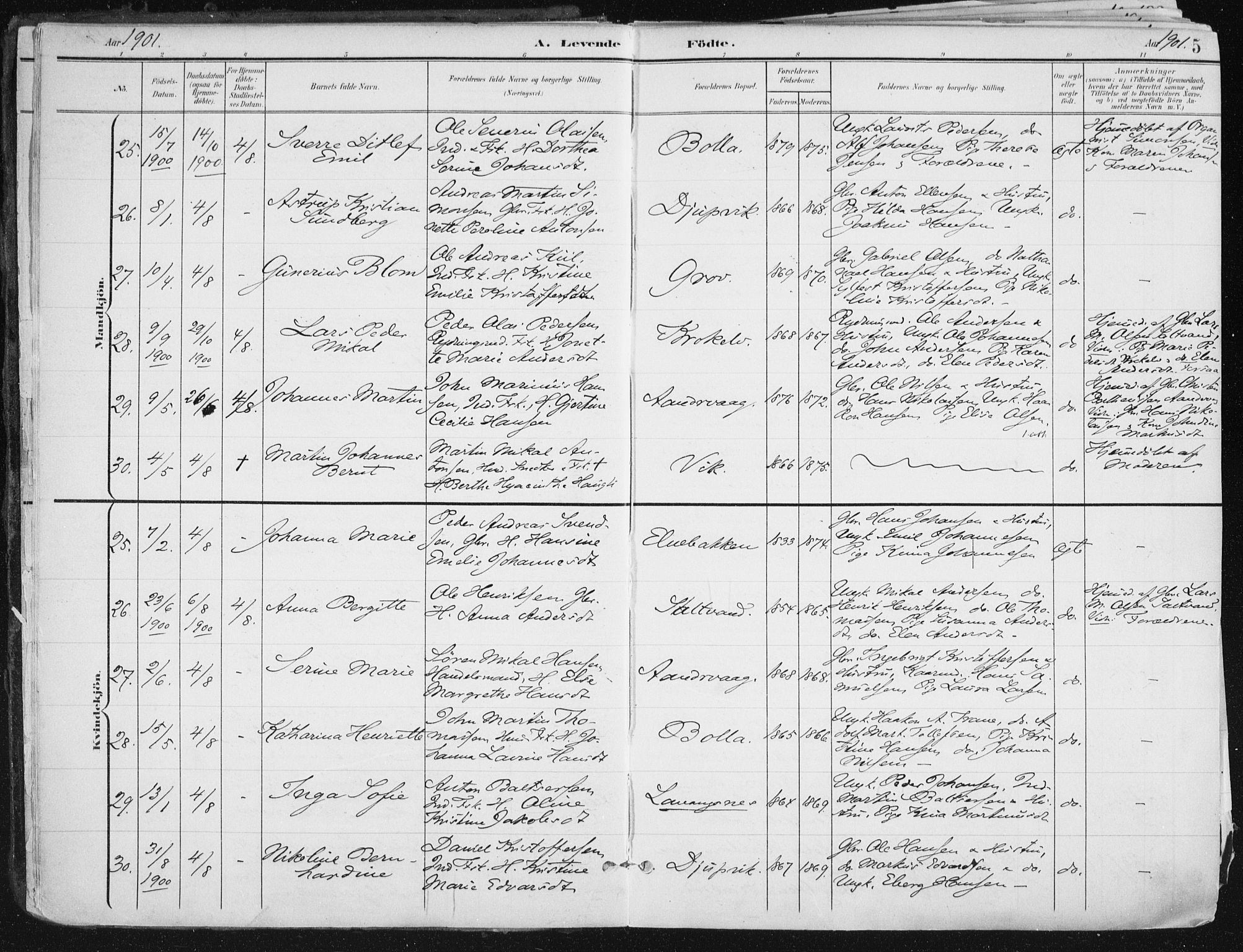 Ibestad sokneprestembete, SATØ/S-0077/H/Ha/Haa/L0017kirke: Parish register (official) no. 17, 1901-1914, p. 5