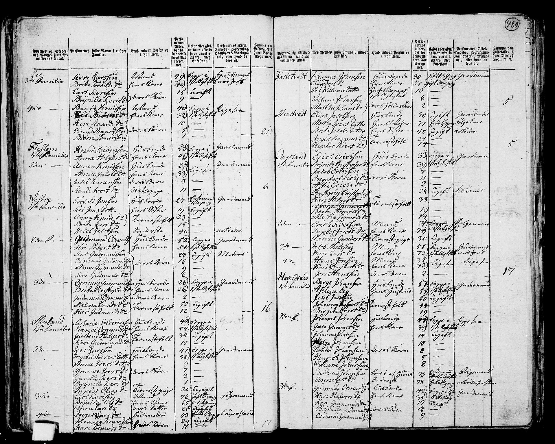 RA, 1801 census for 1154P Skjold, 1801, p. 479b-480a