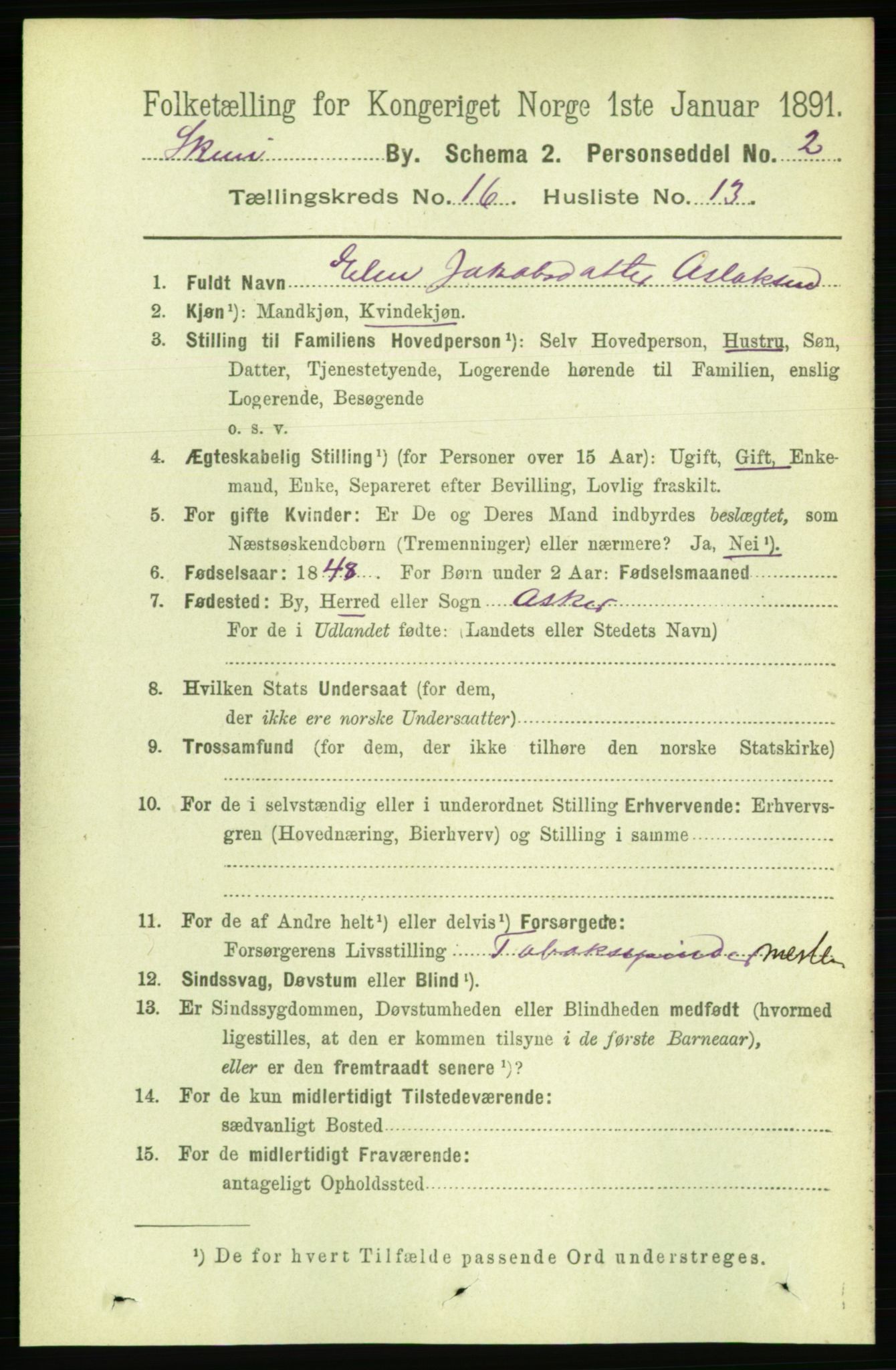 RA, 1891 census for 0806 Skien, 1891, p. 4646