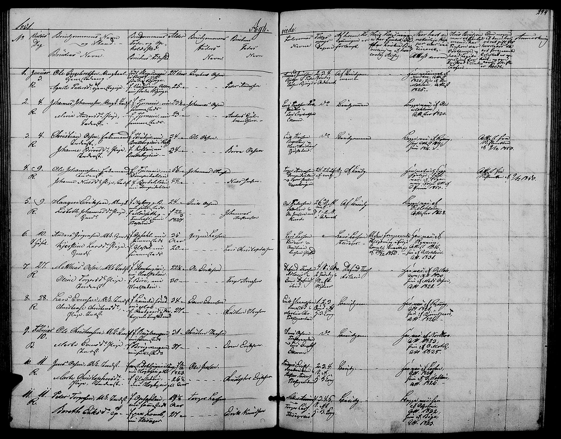 Ringsaker prestekontor, SAH/PREST-014/L/La/L0006: Parish register (copy) no. 6, 1851-1860, p. 294