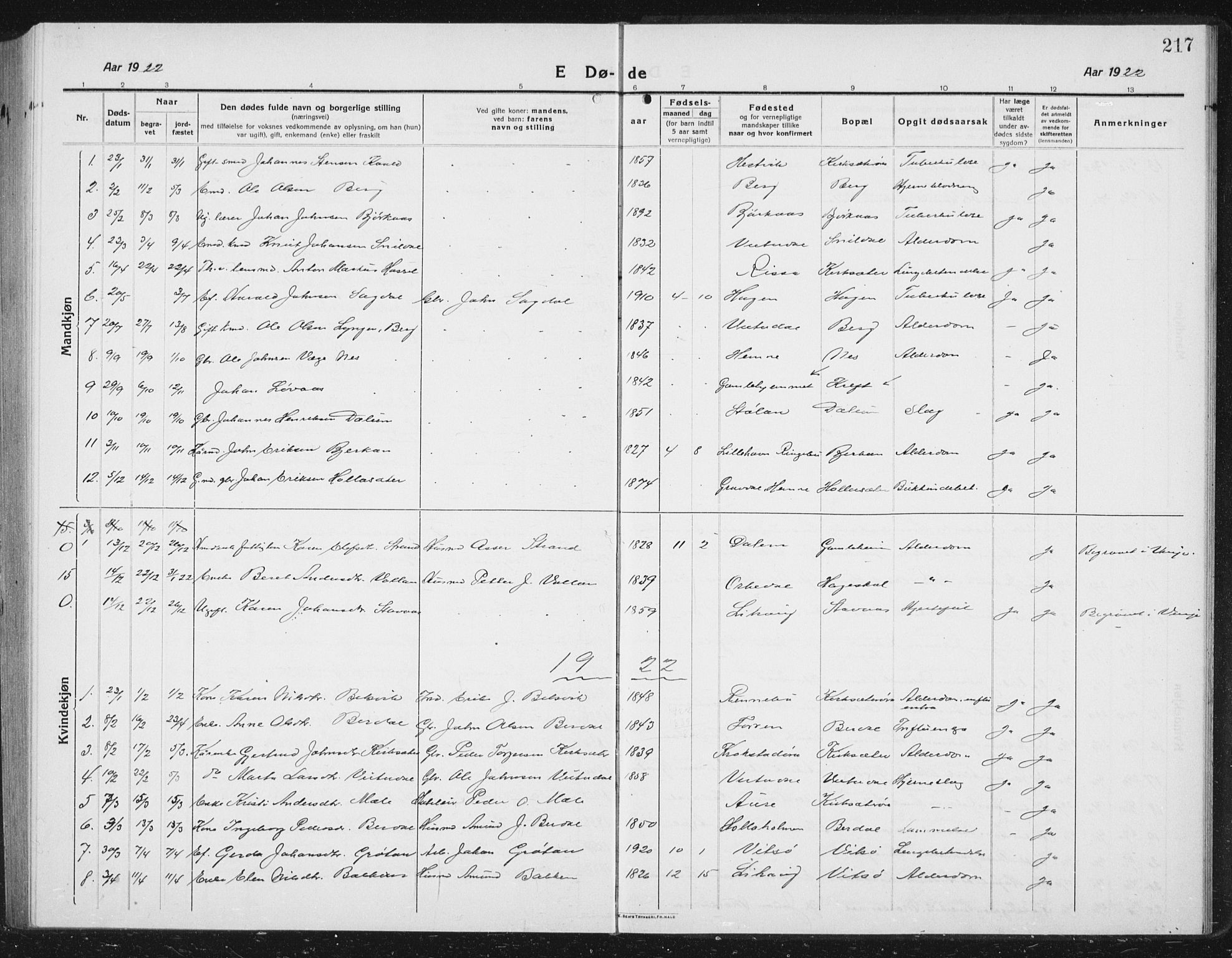 Ministerialprotokoller, klokkerbøker og fødselsregistre - Sør-Trøndelag, SAT/A-1456/630/L0506: Parish register (copy) no. 630C04, 1914-1933, p. 217