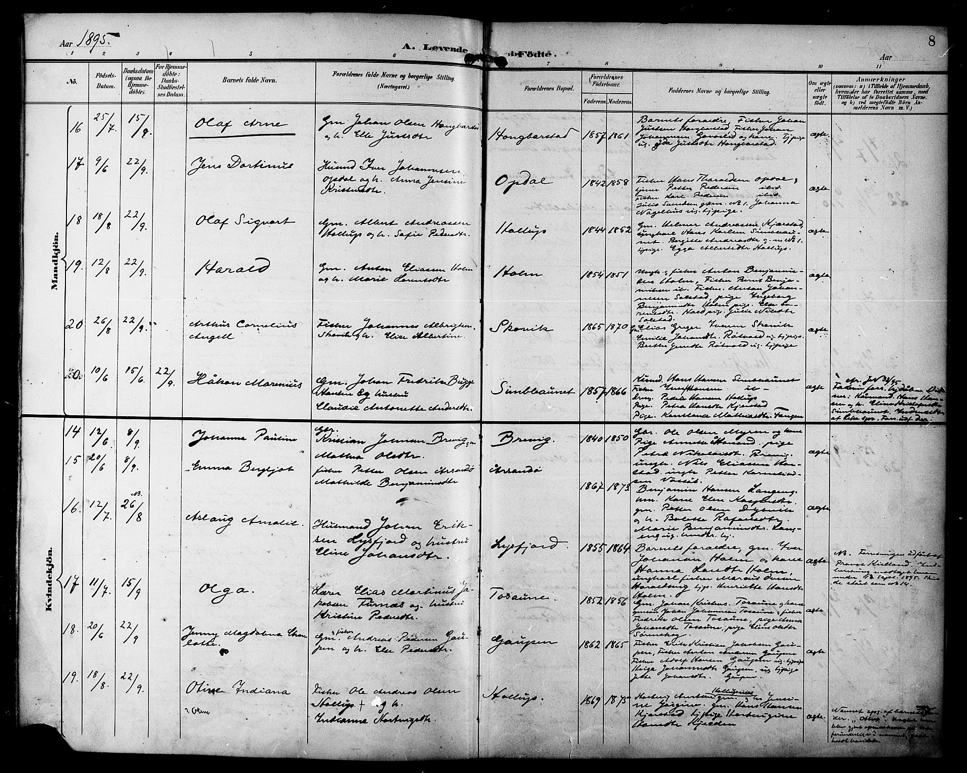 Ministerialprotokoller, klokkerbøker og fødselsregistre - Nordland, AV/SAT-A-1459/810/L0152: Parish register (official) no. 810A11, 1895-1899, p. 8