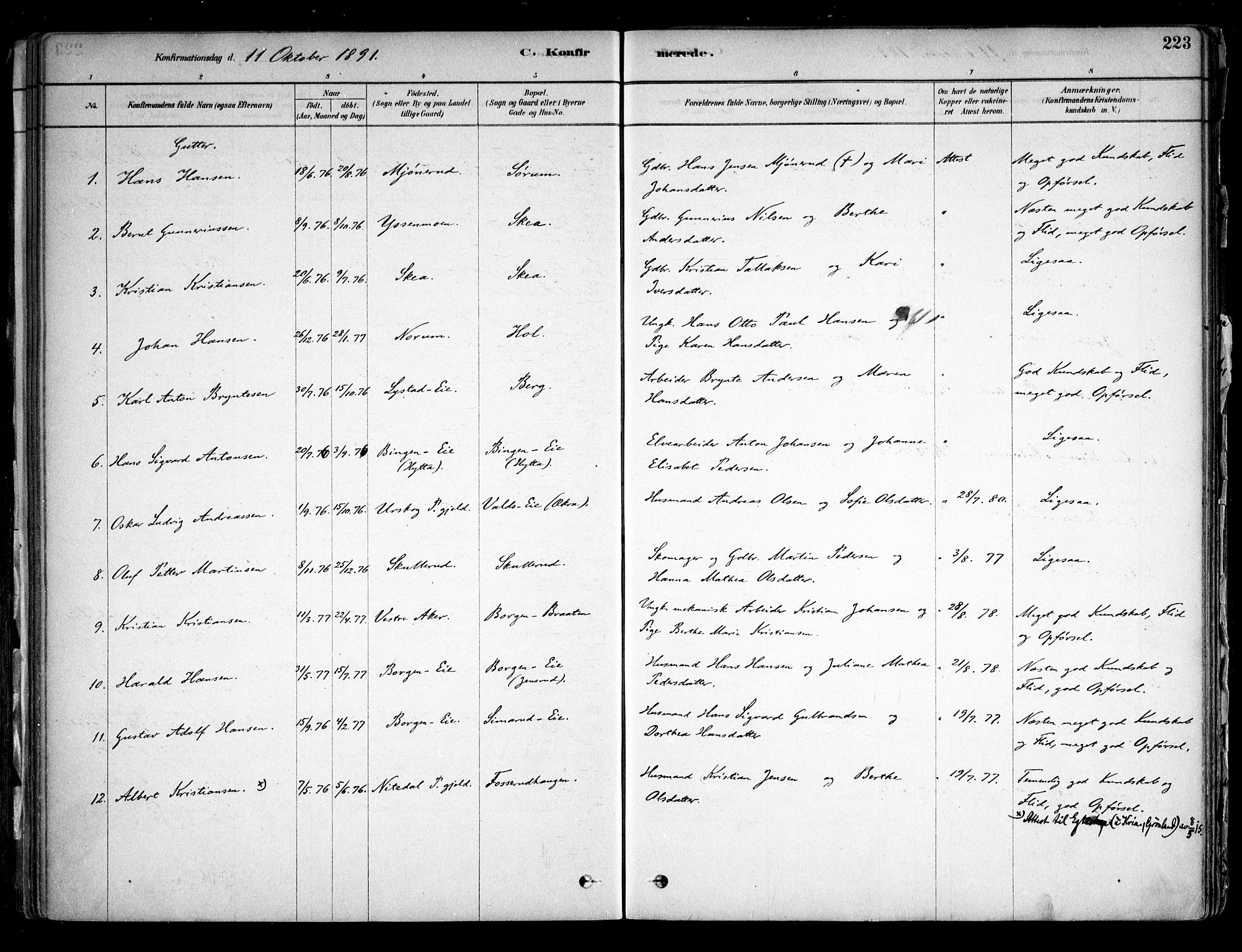 Sørum prestekontor Kirkebøker, SAO/A-10303/F/Fa/L0007: Parish register (official) no. I 7, 1878-1914, p. 223