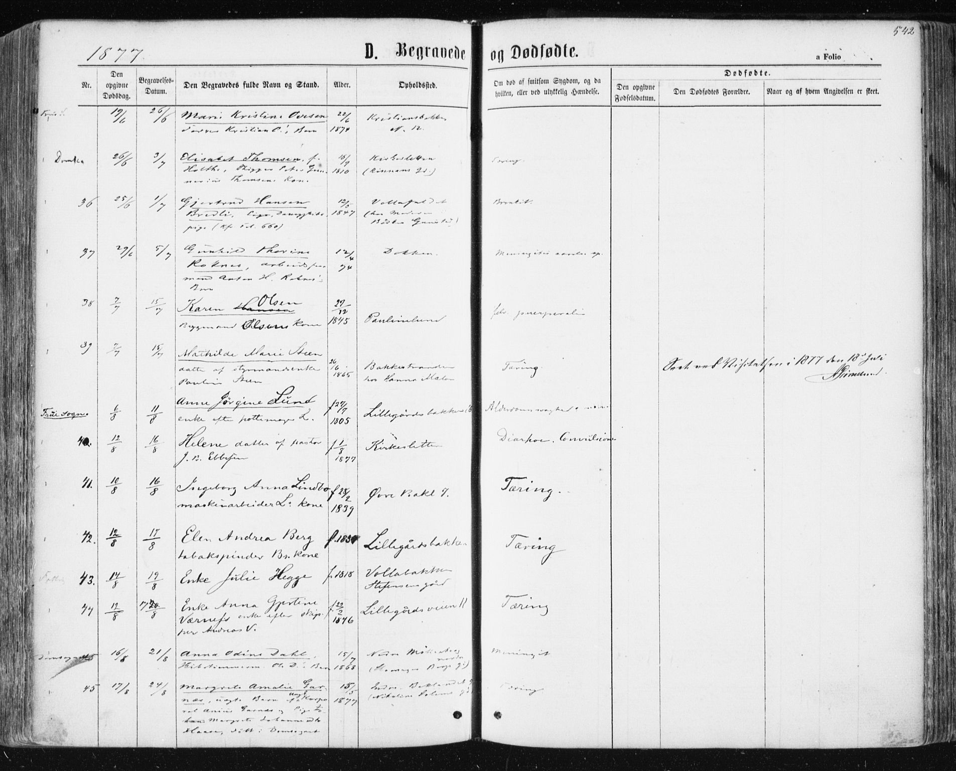 Ministerialprotokoller, klokkerbøker og fødselsregistre - Sør-Trøndelag, AV/SAT-A-1456/604/L0186: Parish register (official) no. 604A07, 1866-1877, p. 542