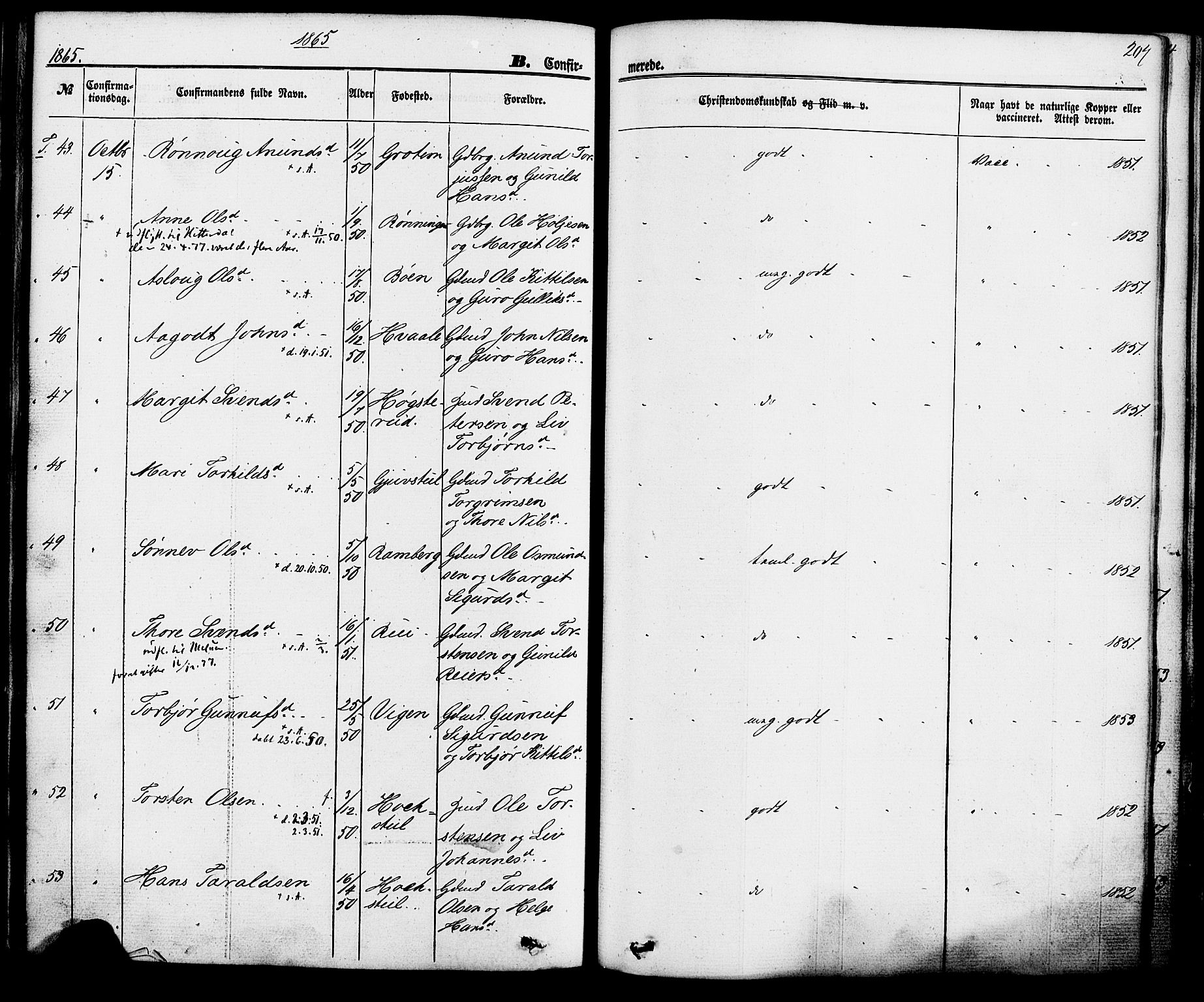 Hjartdal kirkebøker, SAKO/A-270/F/Fa/L0009: Parish register (official) no. I 9, 1860-1879, p. 207