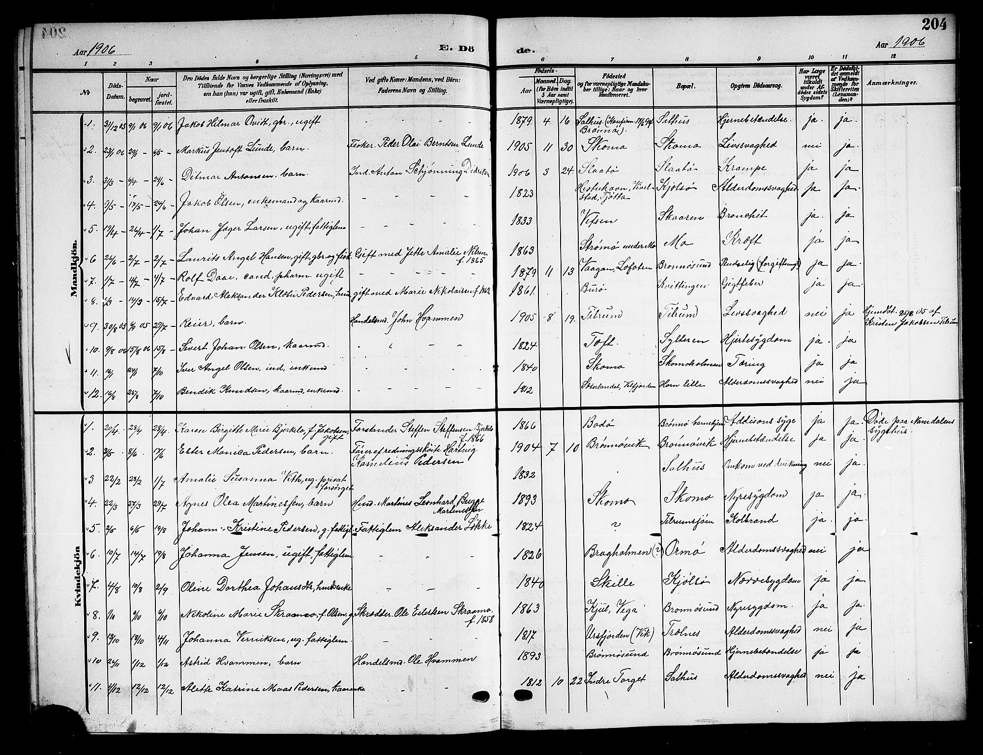 Ministerialprotokoller, klokkerbøker og fødselsregistre - Nordland, SAT/A-1459/813/L0214: Parish register (copy) no. 813C06, 1904-1917, p. 204