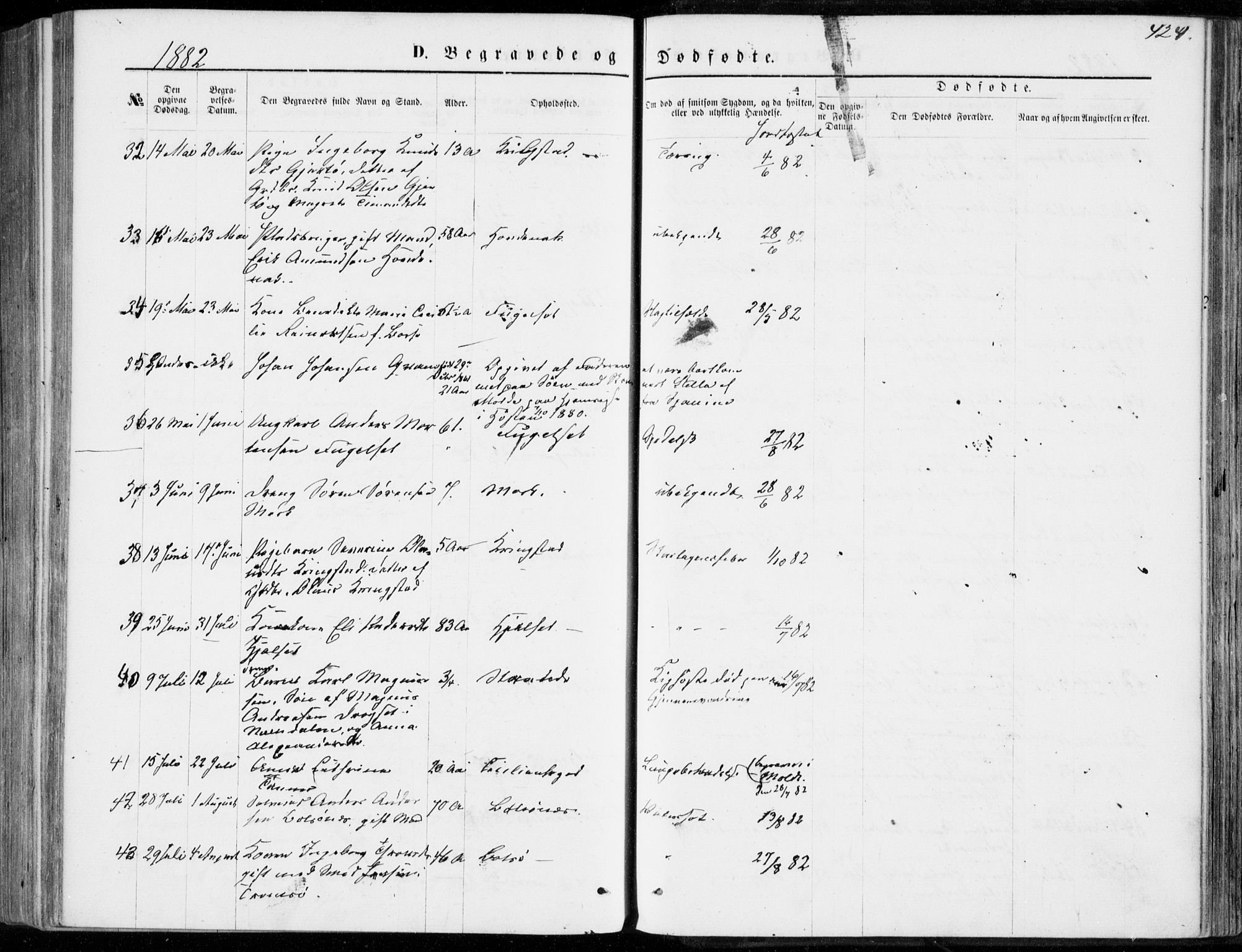 Ministerialprotokoller, klokkerbøker og fødselsregistre - Møre og Romsdal, AV/SAT-A-1454/555/L0655: Parish register (official) no. 555A05, 1869-1886, p. 424