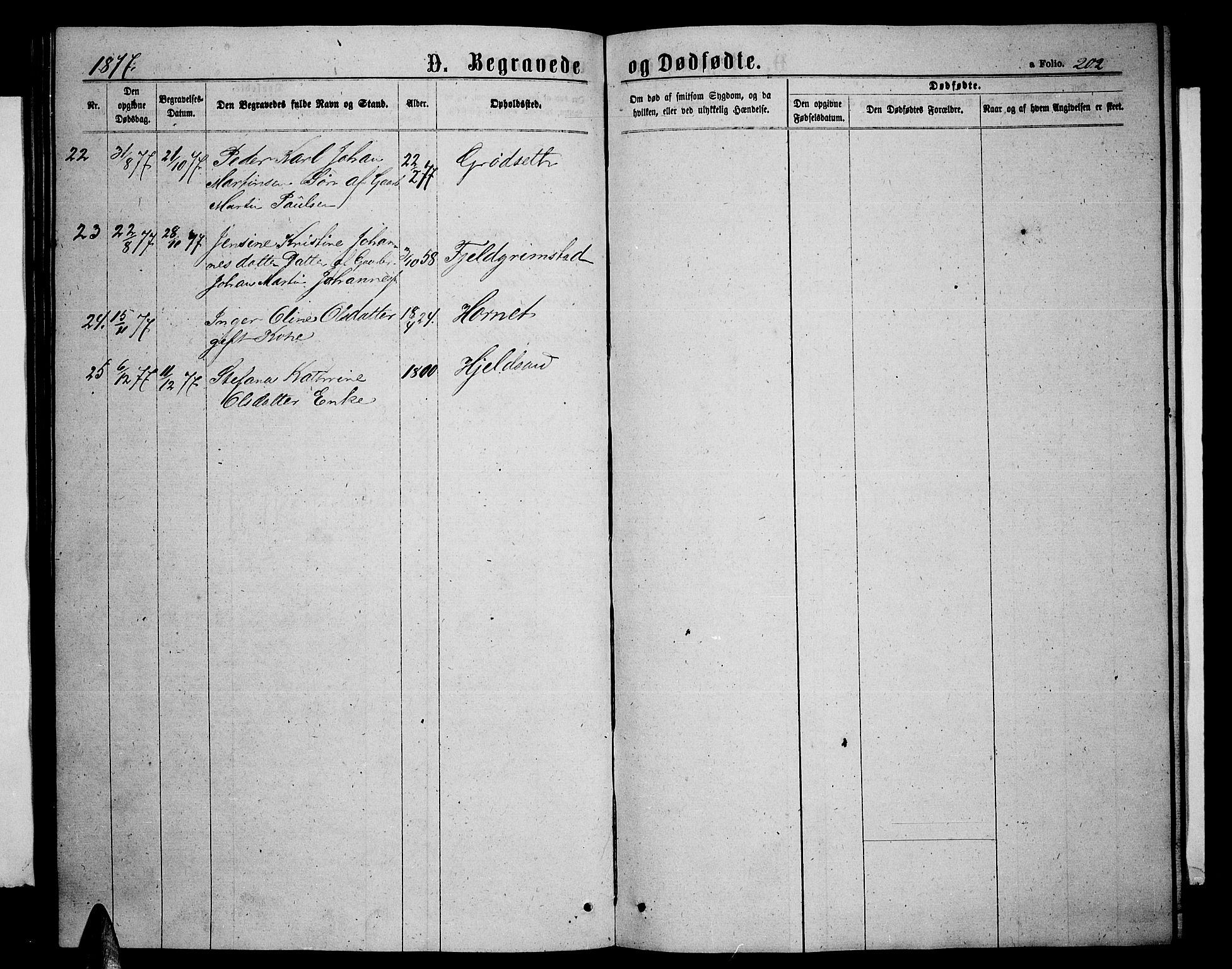 Ministerialprotokoller, klokkerbøker og fødselsregistre - Nordland, AV/SAT-A-1459/893/L1348: Parish register (copy) no. 893C03, 1867-1877, p. 202