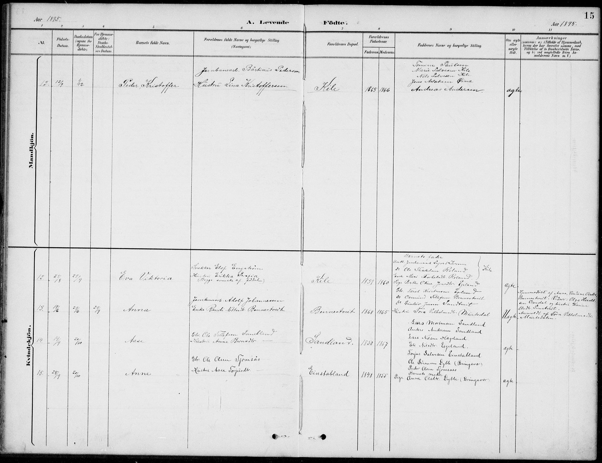 Vennesla sokneprestkontor, AV/SAK-1111-0045/Fb/Fba/L0003: Parish register (copy) no. B 3, 1890-1919, p. 15