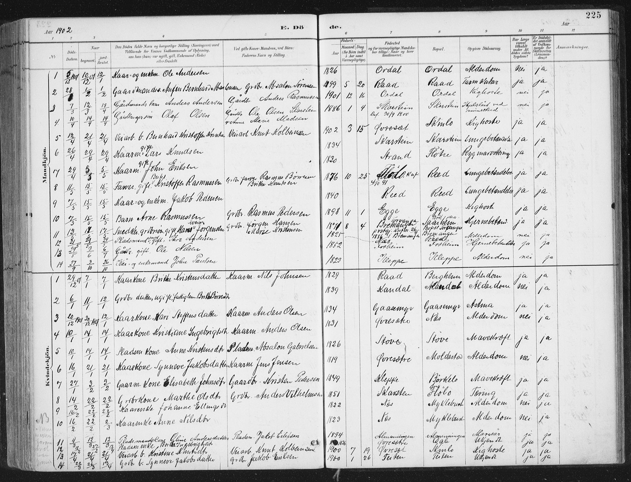 Gloppen sokneprestembete, SAB/A-80101/H/Haa/Haac/L0002: Parish register (official) no. C  2, 1887-1904, p. 225