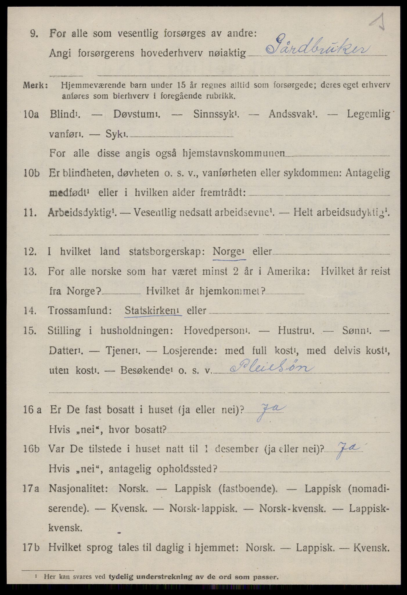 SAT, 1920 census for Budal, 1920, p. 395