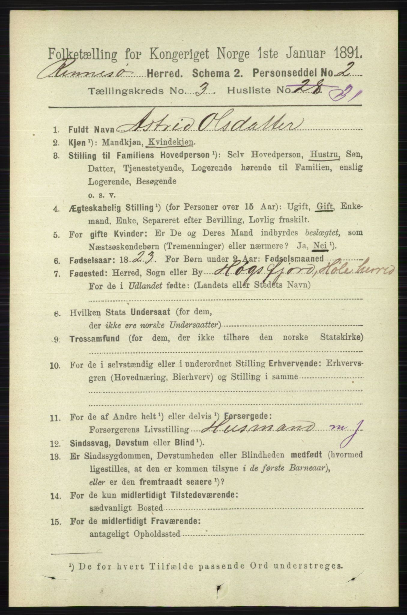 RA, 1891 census for 1142 Rennesøy, 1891, p. 1158