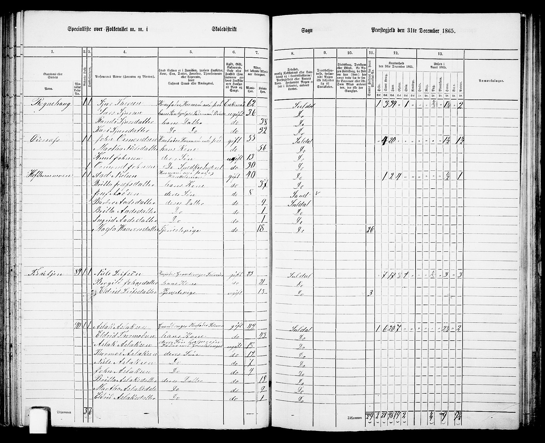 RA, 1865 census for Suldal, 1865, p. 60