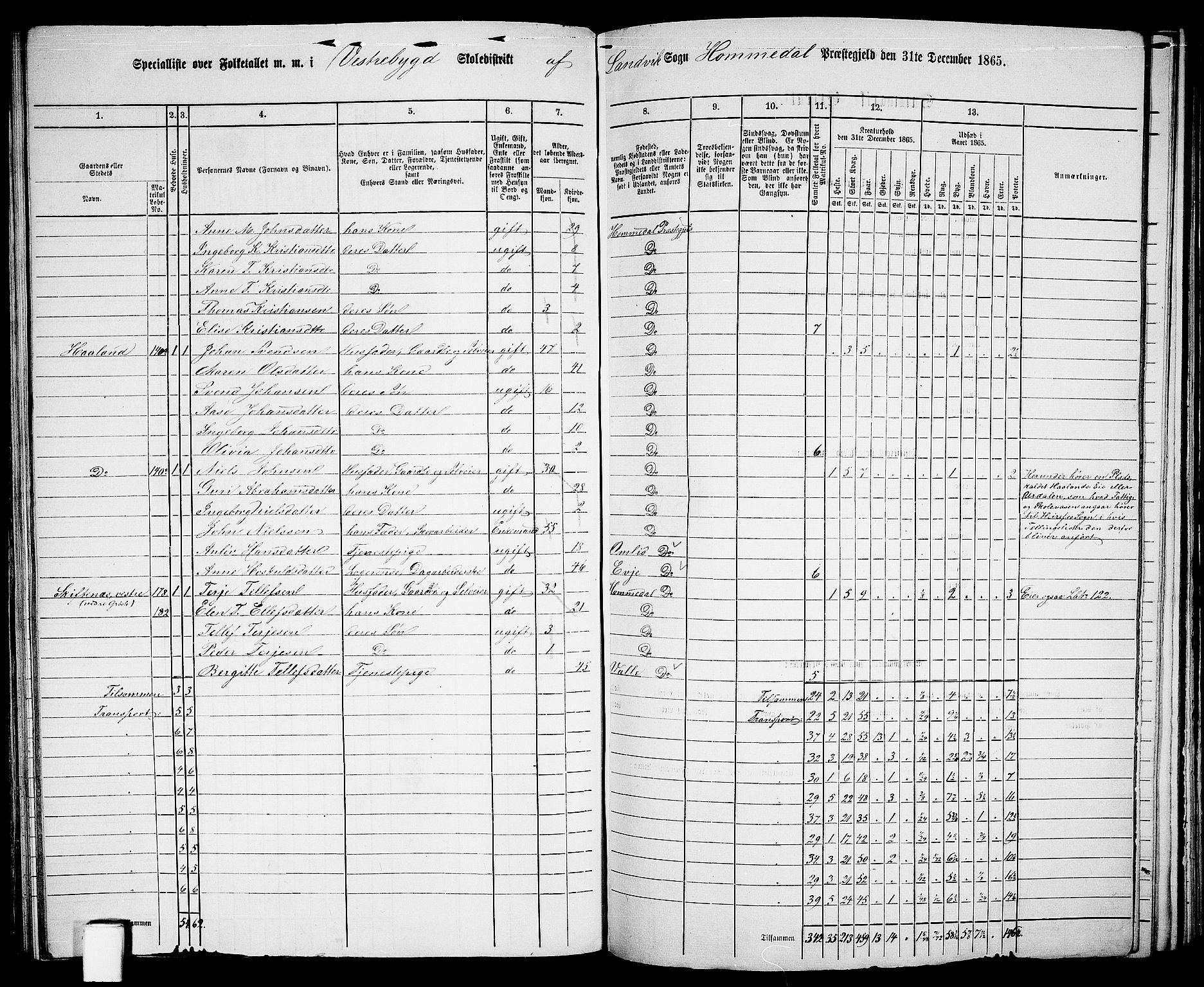 RA, 1865 census for Homedal, 1865, p. 122