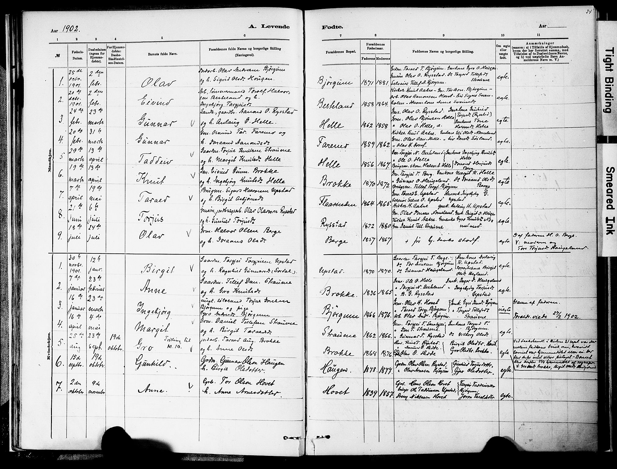 Valle sokneprestkontor, SAK/1111-0044/F/Fa/Fab/L0001: Parish register (official) no. A 1, 1882-1910, p. 34