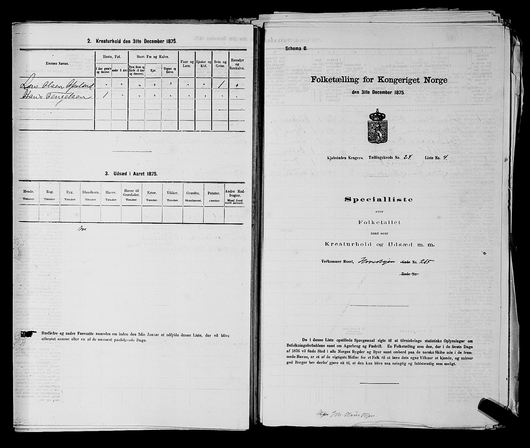 SAKO, 1875 census for 0801P Kragerø, 1875, p. 517