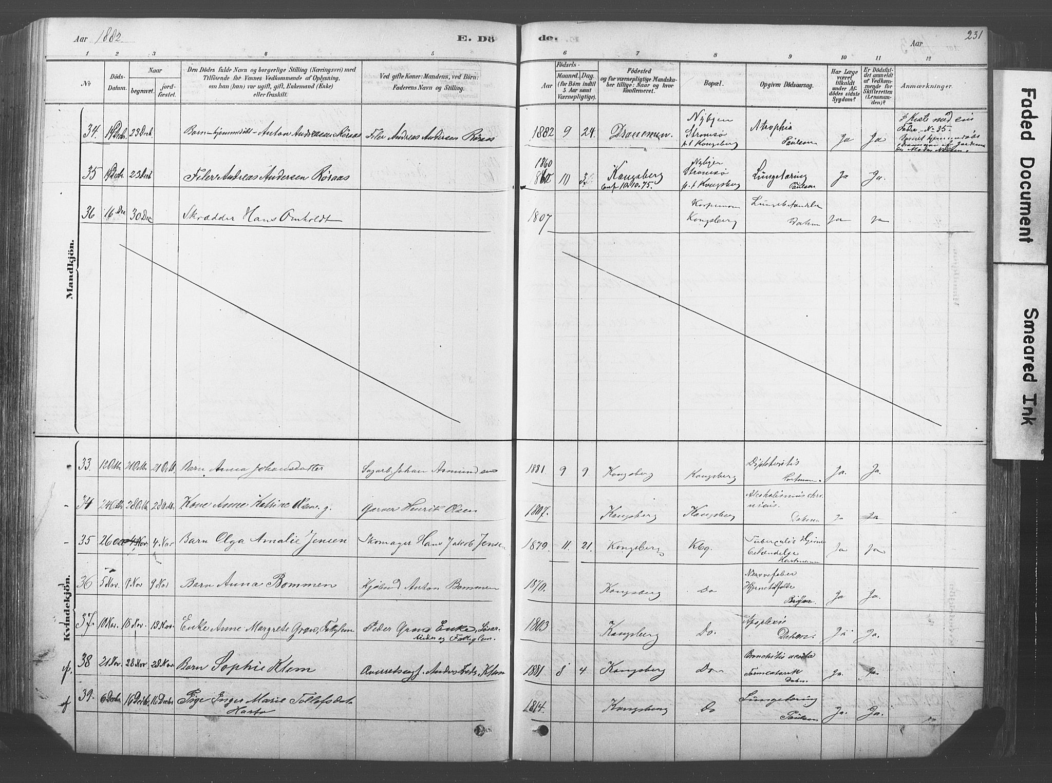 Kongsberg kirkebøker, AV/SAKO-A-22/F/Fb/L0001: Parish register (official) no. II 1, 1878-1886, p. 231
