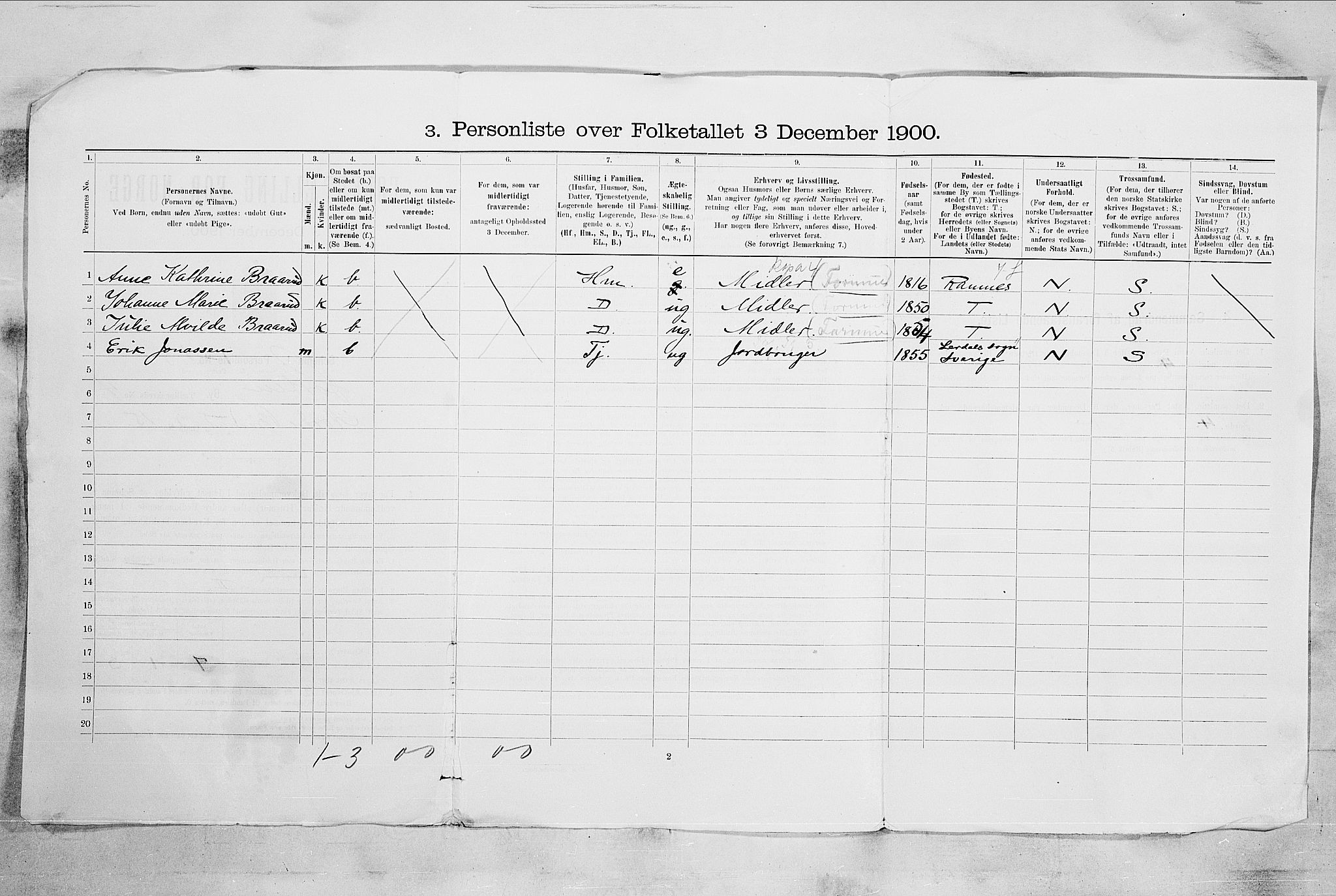 RA, 1900 census for Horten, 1900, p. 2550