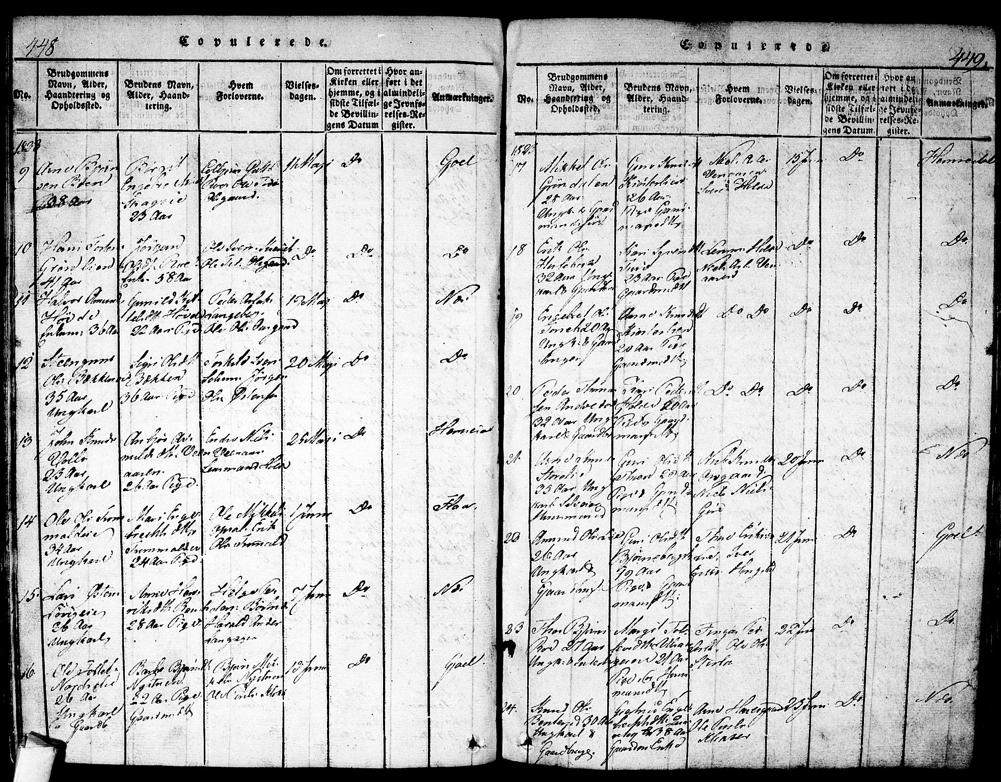 Nes kirkebøker, AV/SAKO-A-236/F/Fa/L0007: Parish register (official) no. 7, 1815-1823, p. 448-449