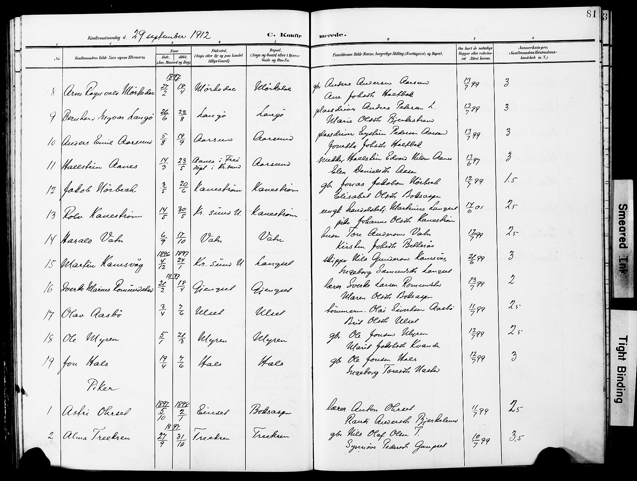 Ministerialprotokoller, klokkerbøker og fødselsregistre - Møre og Romsdal, AV/SAT-A-1454/587/L1001: Parish register (copy) no. 587C01, 1906-1927, p. 81