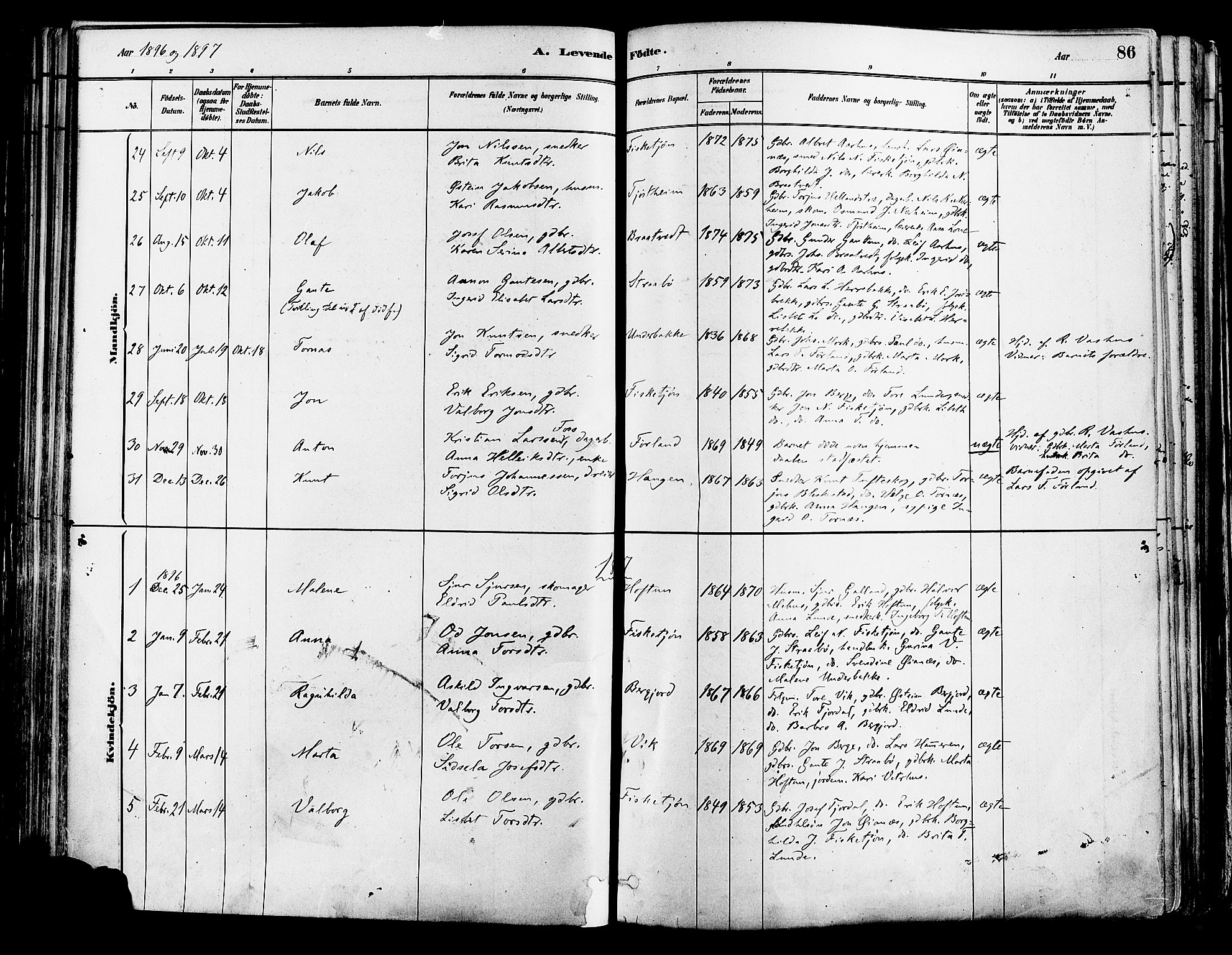 Suldal sokneprestkontor, AV/SAST-A-101845/01/IV/L0011: Parish register (official) no. A 11, 1878-1900, p. 86