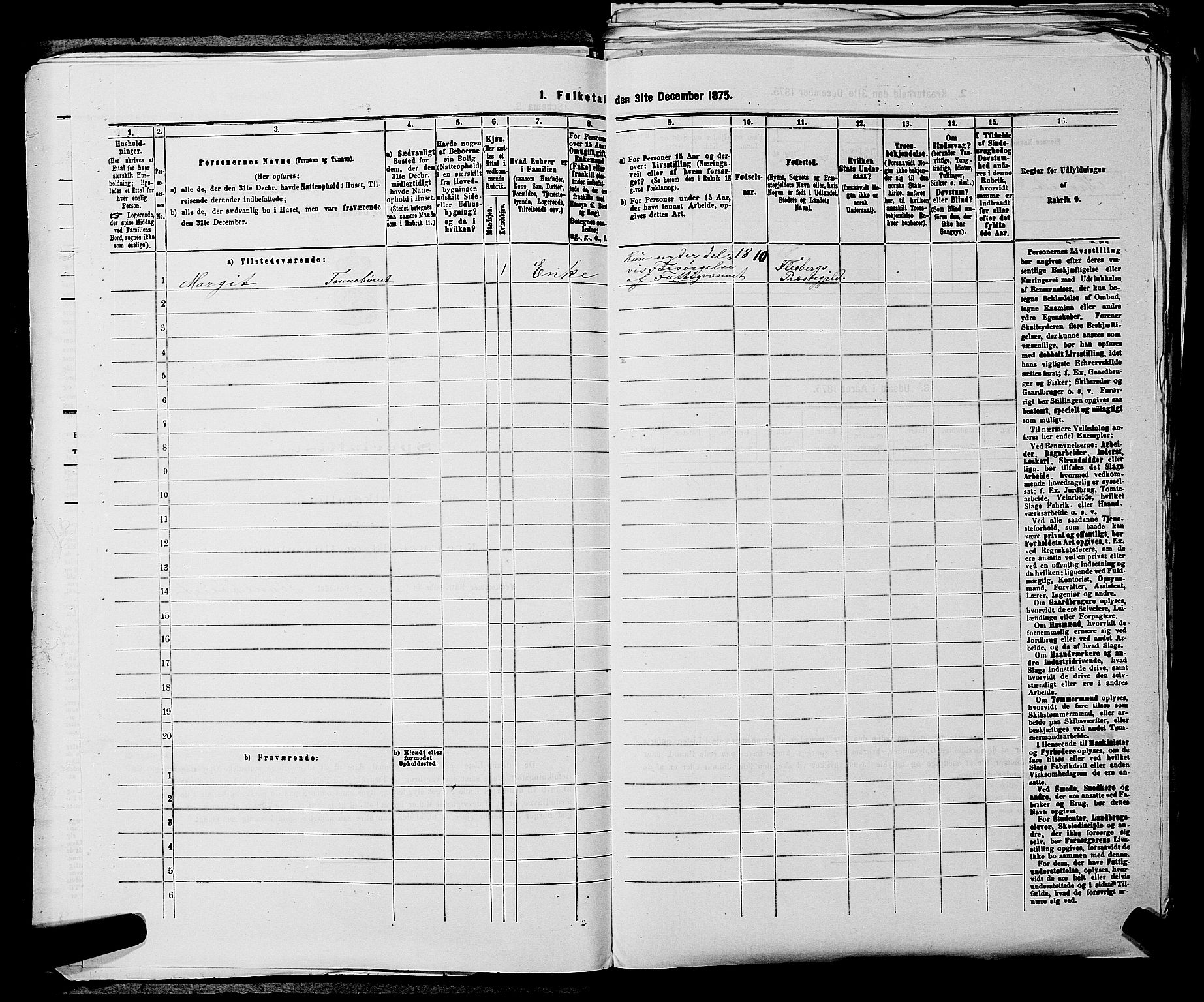 SAKO, 1875 census for 0633P Nore, 1875, p. 507