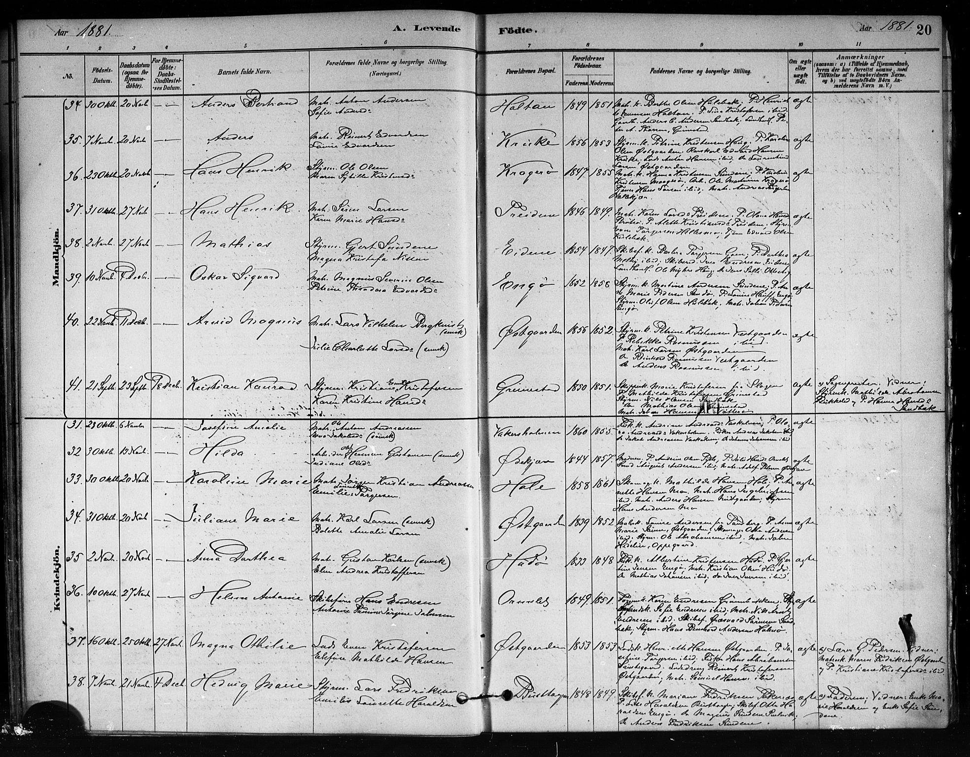 Tjøme kirkebøker, AV/SAKO-A-328/F/Fa/L0001: Parish register (official) no. I 1, 1879-1890, p. 20