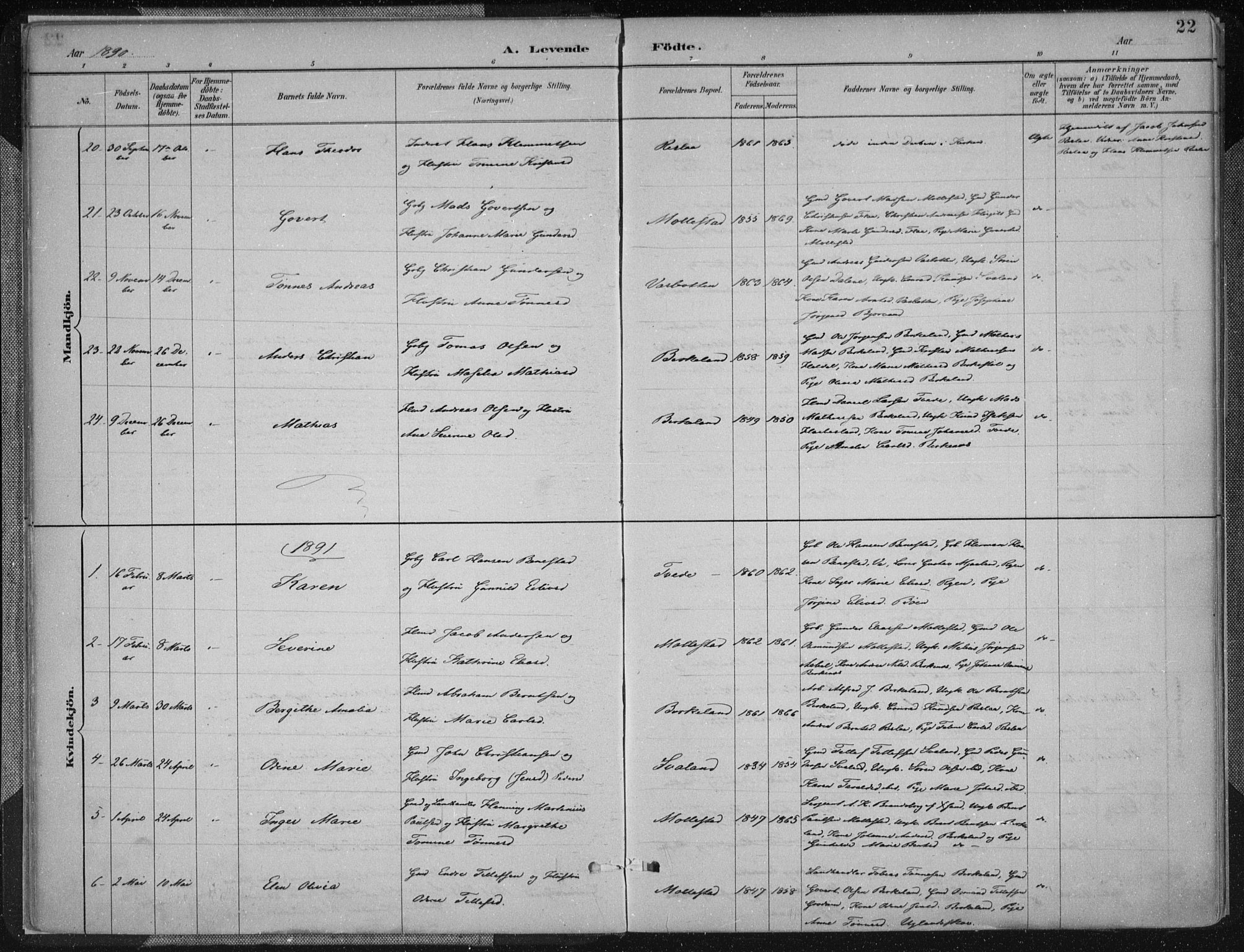 Birkenes sokneprestkontor, SAK/1111-0004/F/Fa/L0005: Parish register (official) no. A 5, 1887-1907, p. 22