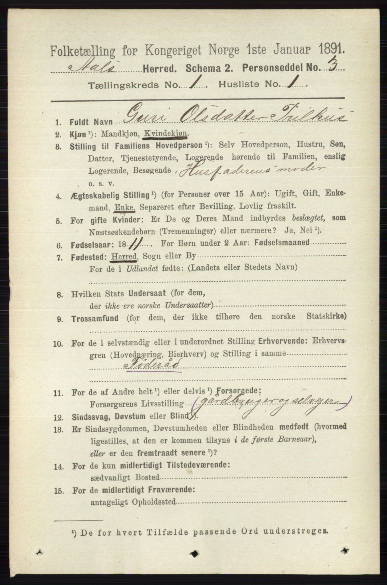 RA, 1891 census for 0619 Ål, 1891, p. 101