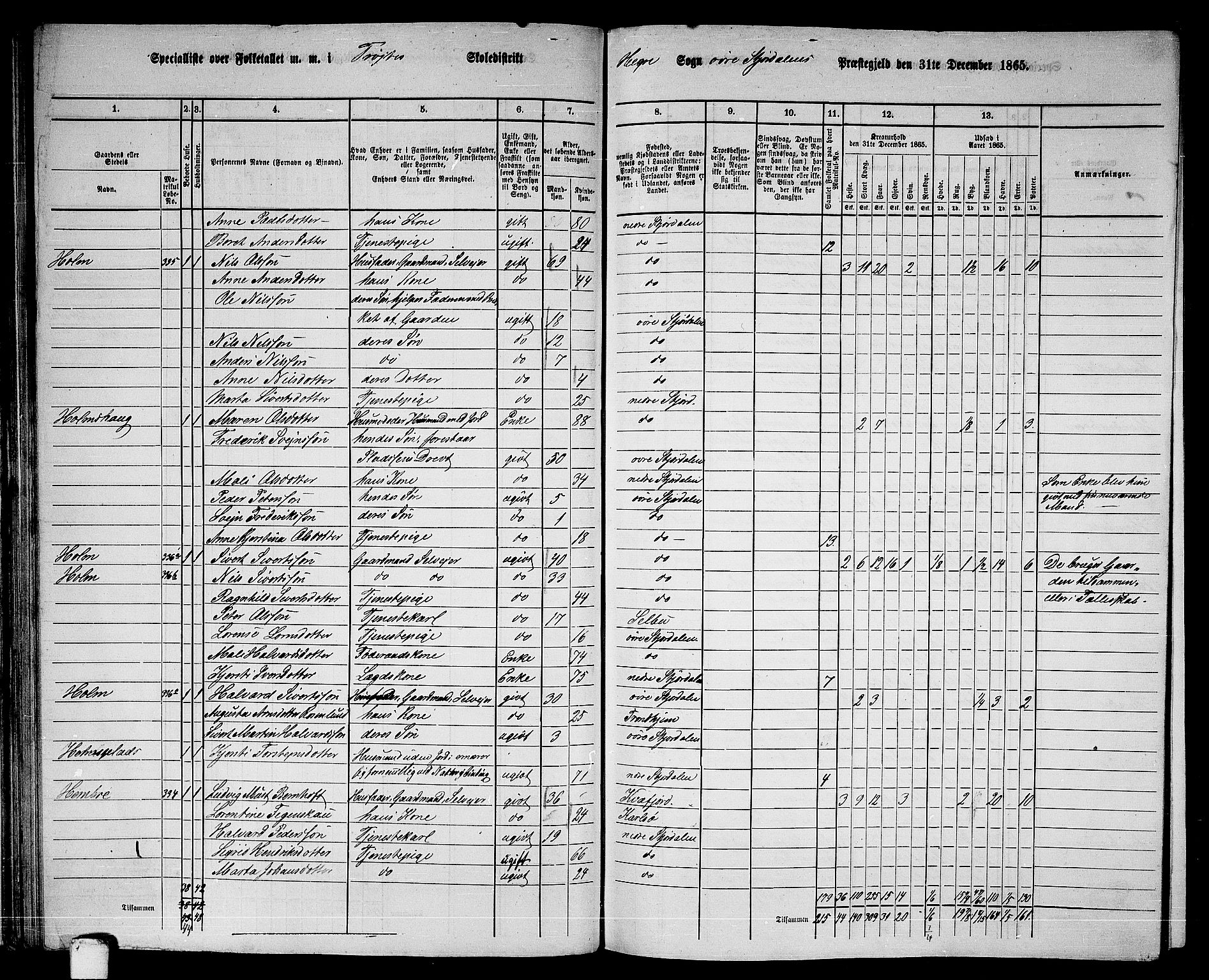 RA, 1865 census for Øvre Stjørdal, 1865, p. 51