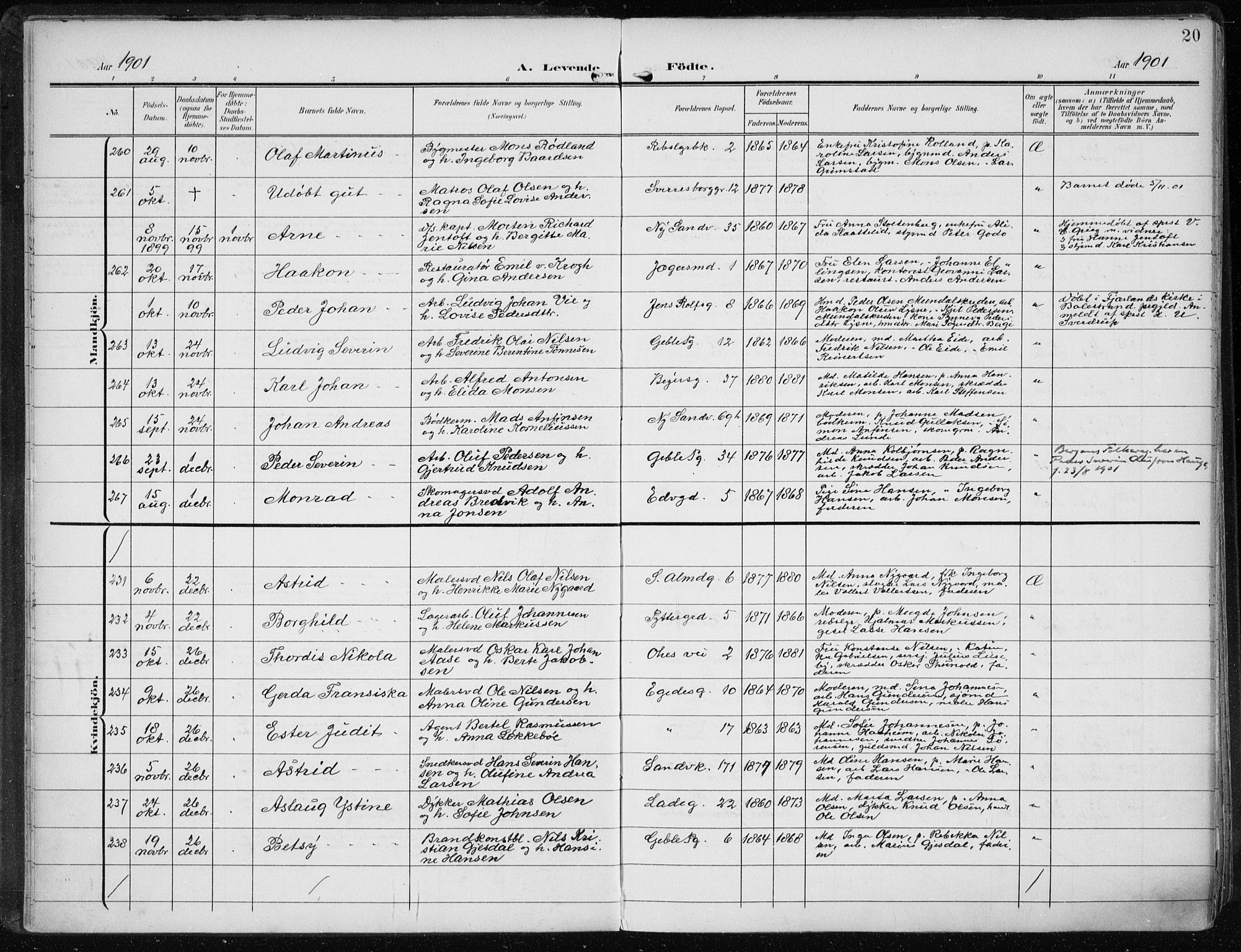 Sandviken Sokneprestembete, AV/SAB-A-77601/H/Ha/L0006: Parish register (official) no. B 3, 1901-1912, p. 20