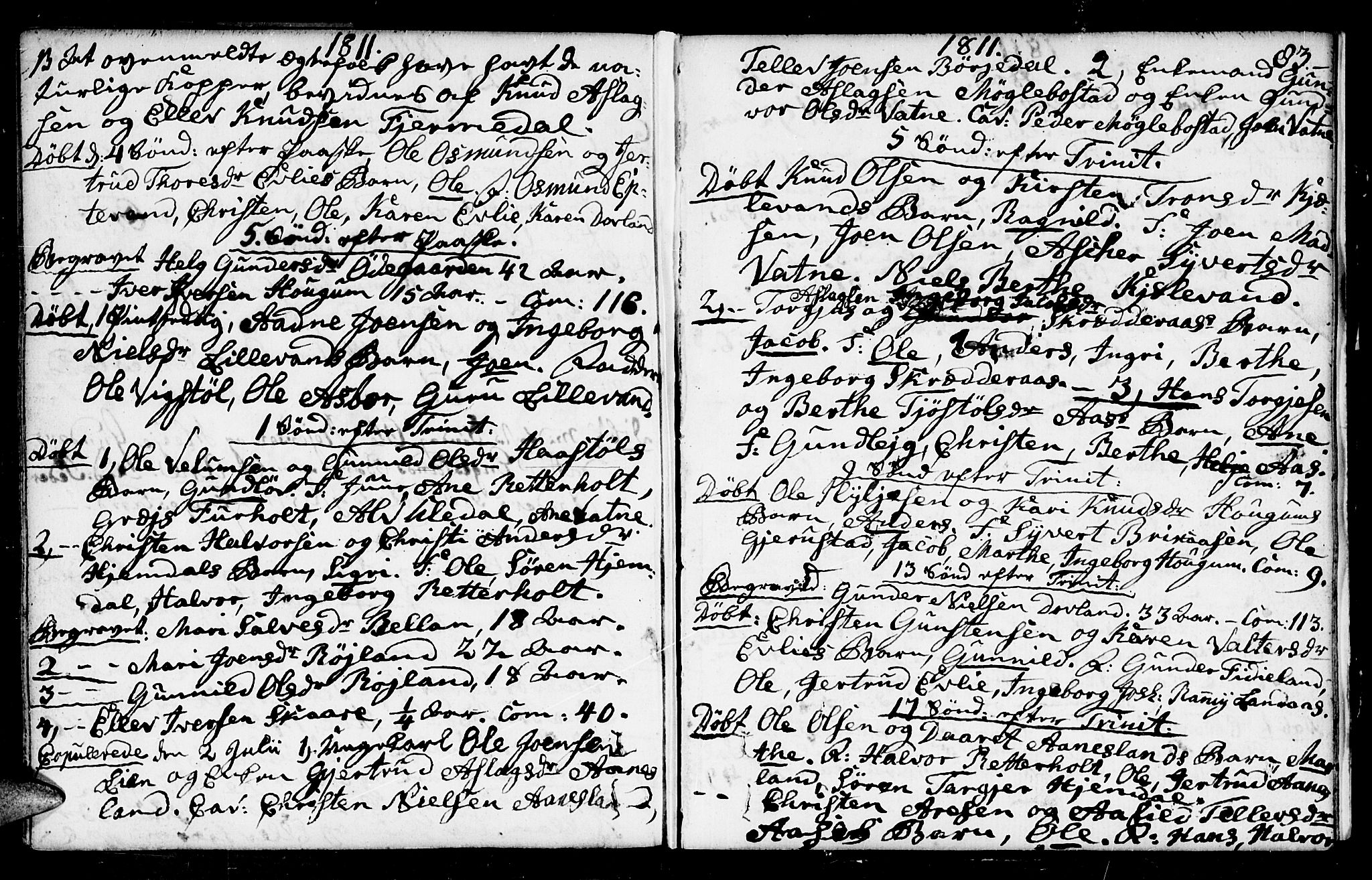 Herefoss sokneprestkontor, AV/SAK-1111-0019/F/Fa/Fab/L0002: Parish register (official) no. A 2, 1780-1816, p. 83