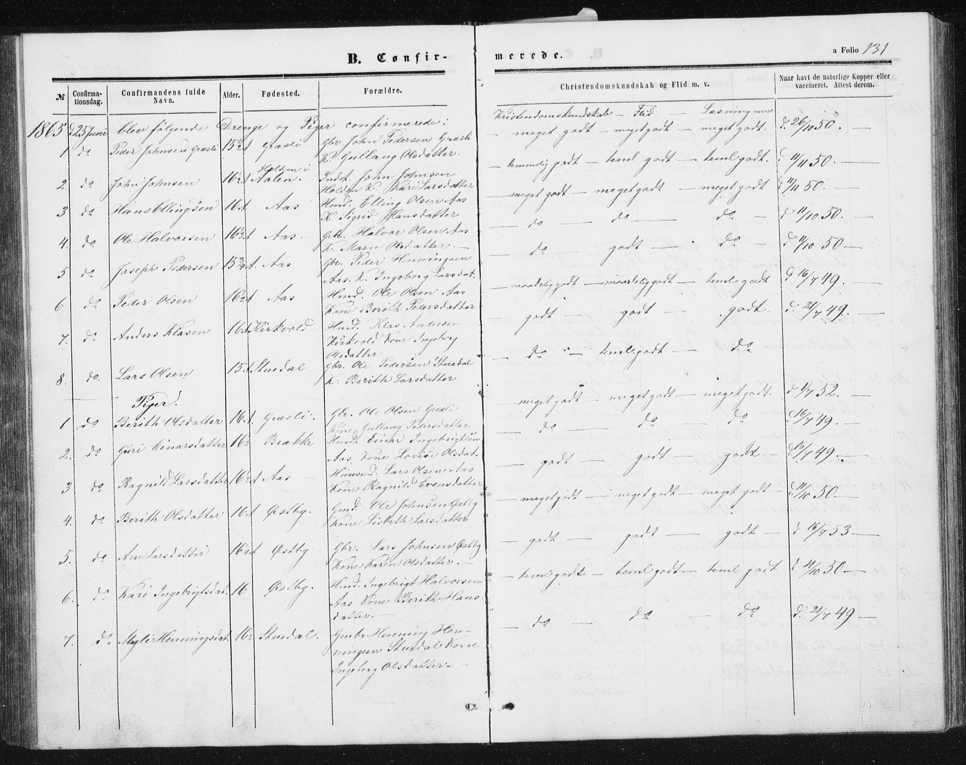 Ministerialprotokoller, klokkerbøker og fødselsregistre - Sør-Trøndelag, SAT/A-1456/698/L1166: Parish register (copy) no. 698C03, 1861-1887, p. 131