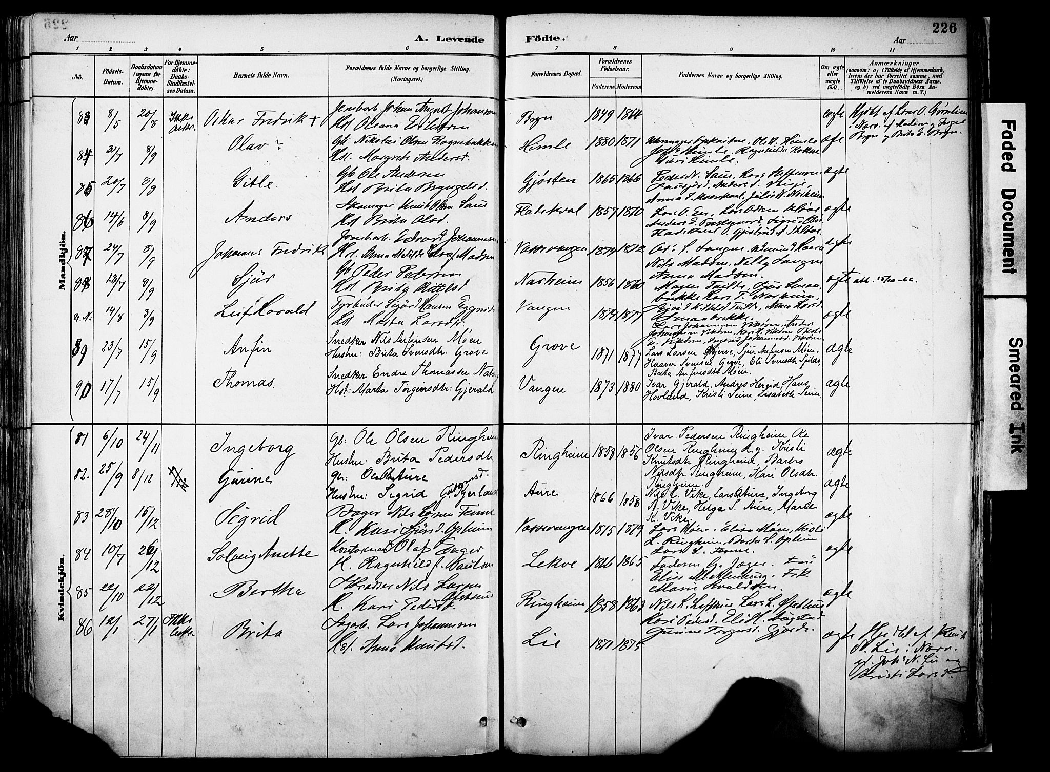 Voss sokneprestembete, AV/SAB-A-79001/H/Haa: Parish register (official) no. A 21, 1887-1903, p. 226