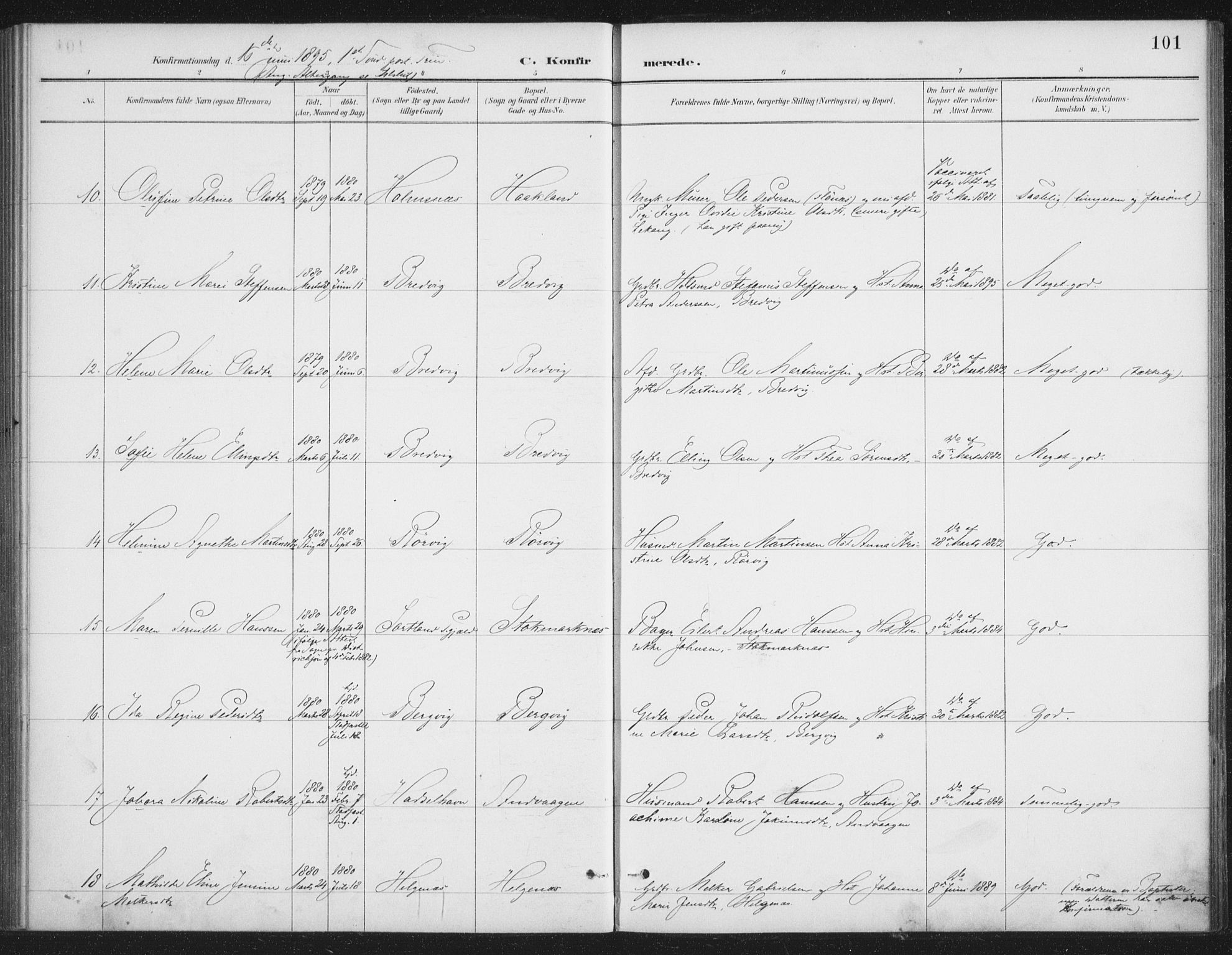 Ministerialprotokoller, klokkerbøker og fødselsregistre - Nordland, SAT/A-1459/888/L1245: Parish register (official) no. 888A11, 1888-1900, p. 101