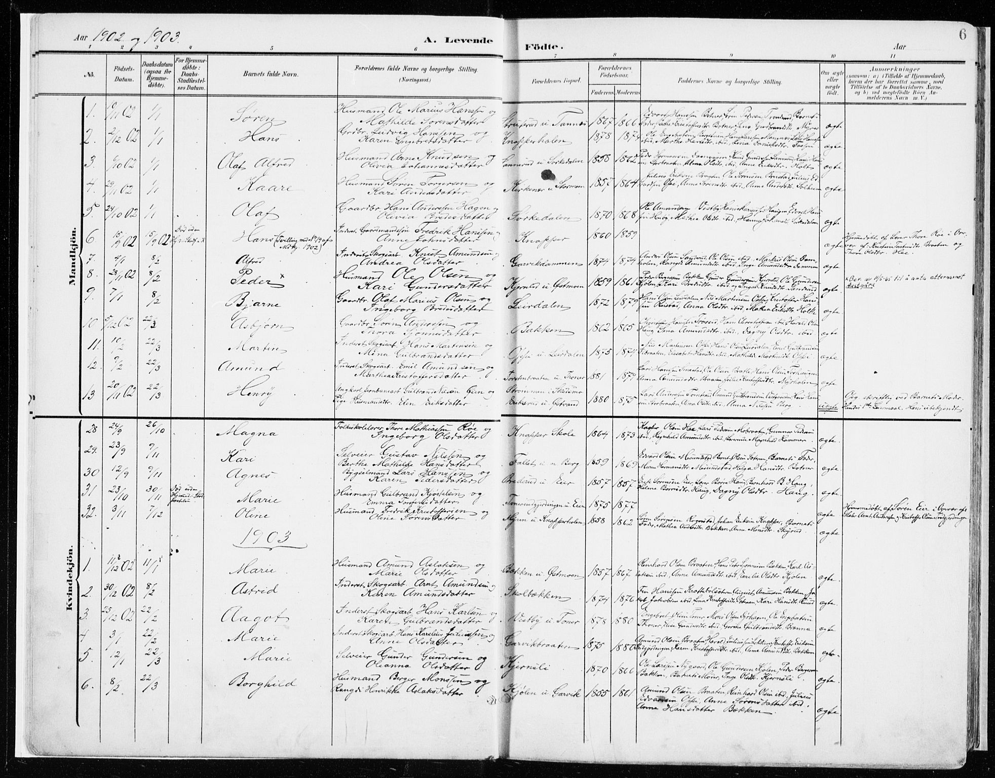 Nord-Odal prestekontor, SAH/PREST-032/H/Ha/Haa/L0009: Parish register (official) no. 9, 1902-1926, p. 6