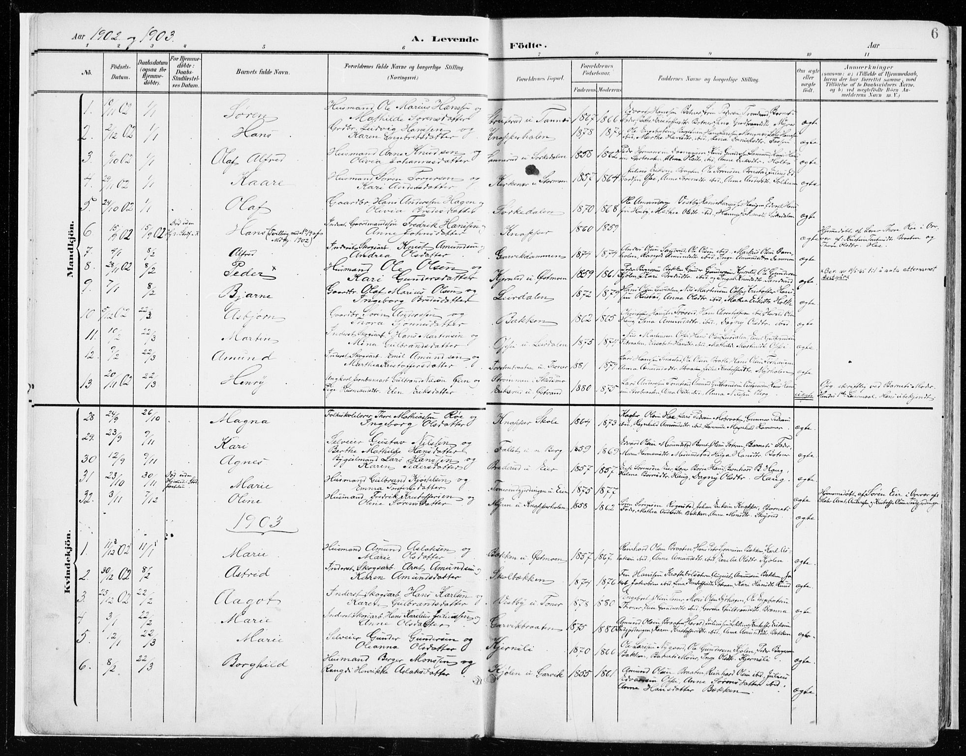 Nord-Odal prestekontor, AV/SAH-PREST-032/H/Ha/Haa/L0009: Parish register (official) no. 9, 1902-1926, p. 6