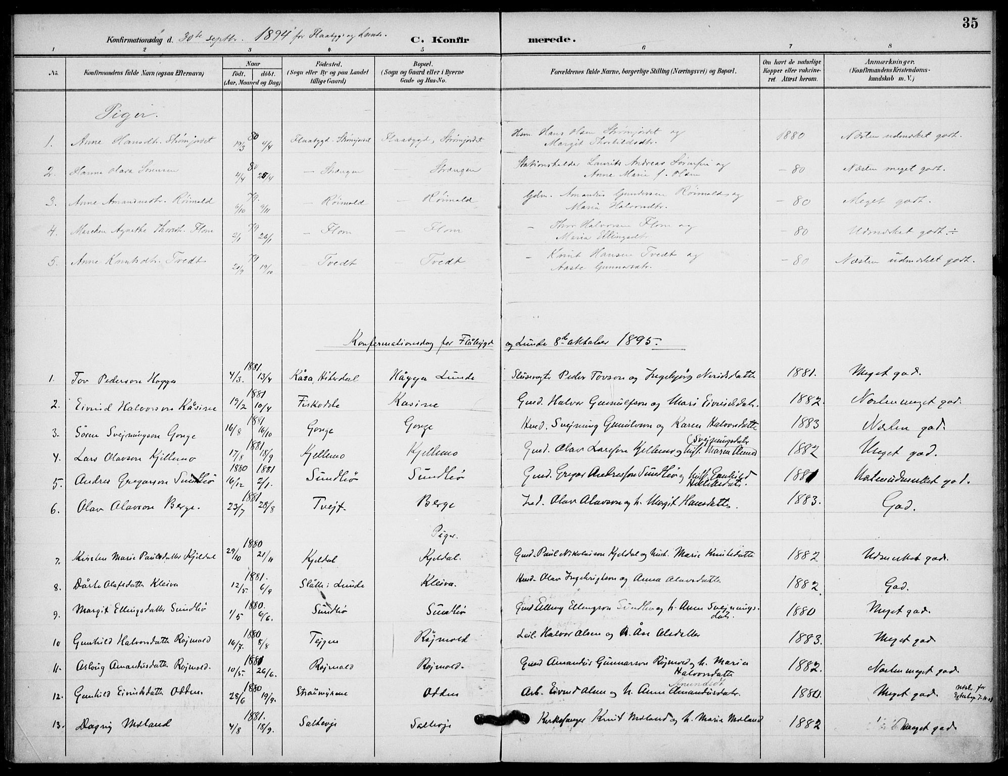 Lunde kirkebøker, AV/SAKO-A-282/F/Fb/L0004: Parish register (official) no. II 4, 1892-1907, p. 35