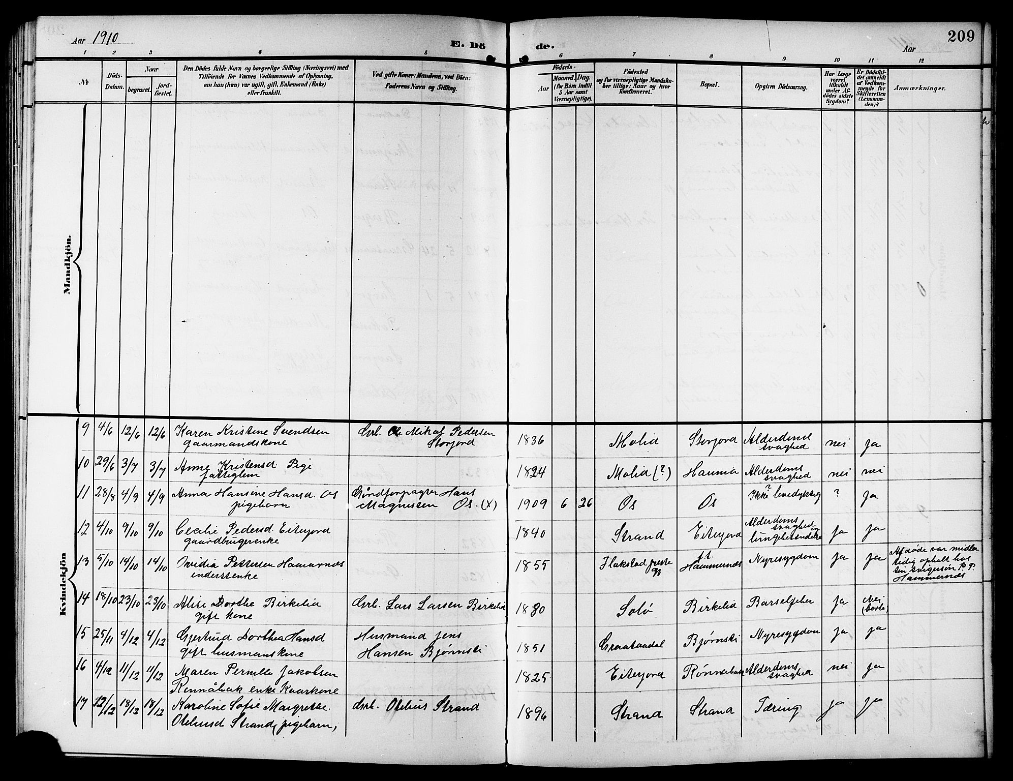 Ministerialprotokoller, klokkerbøker og fødselsregistre - Nordland, AV/SAT-A-1459/846/L0655: Parish register (copy) no. 846C05, 1902-1916, p. 209